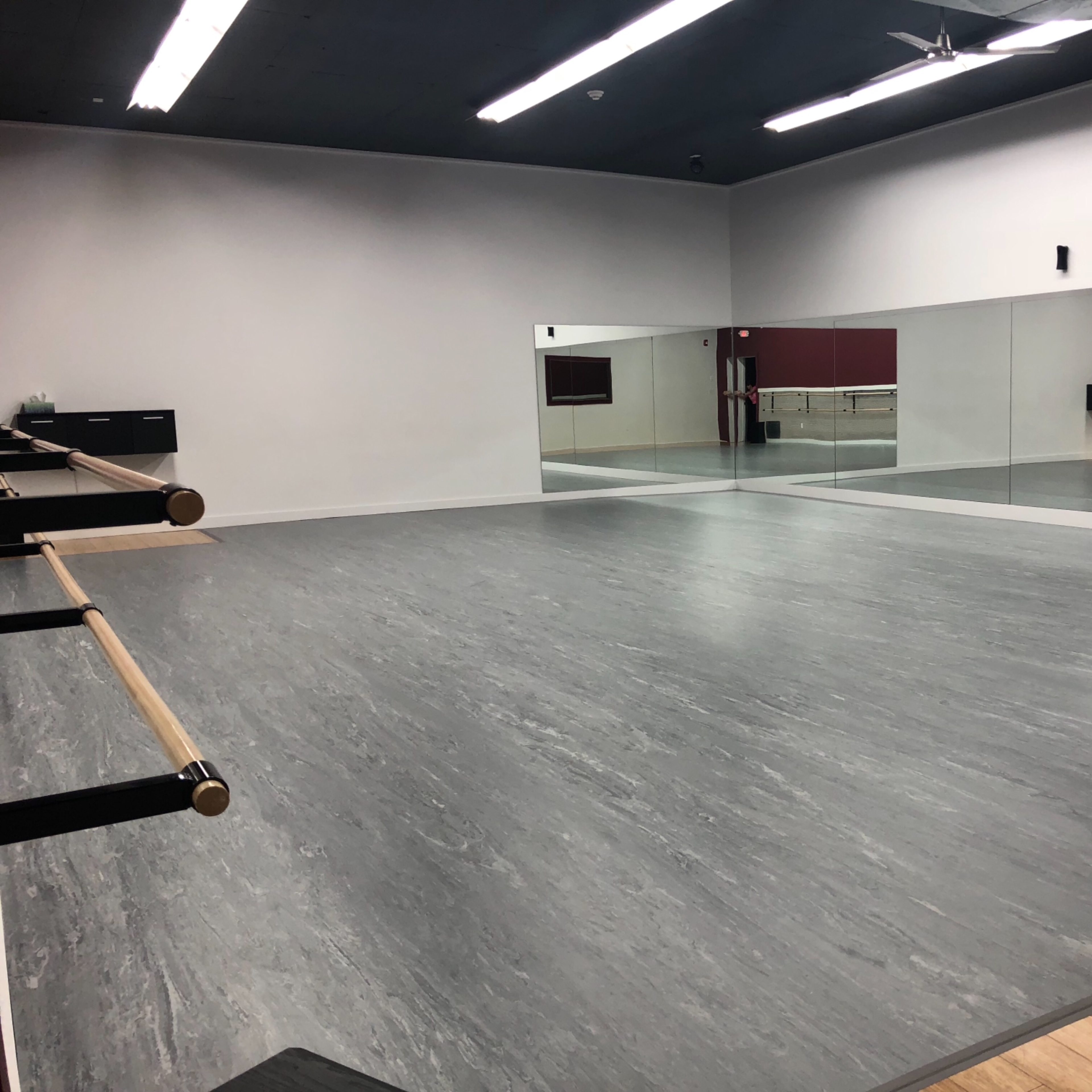 A spacious dance studio with a mirrored wall, a wooden floor, and ballet barres along one side.