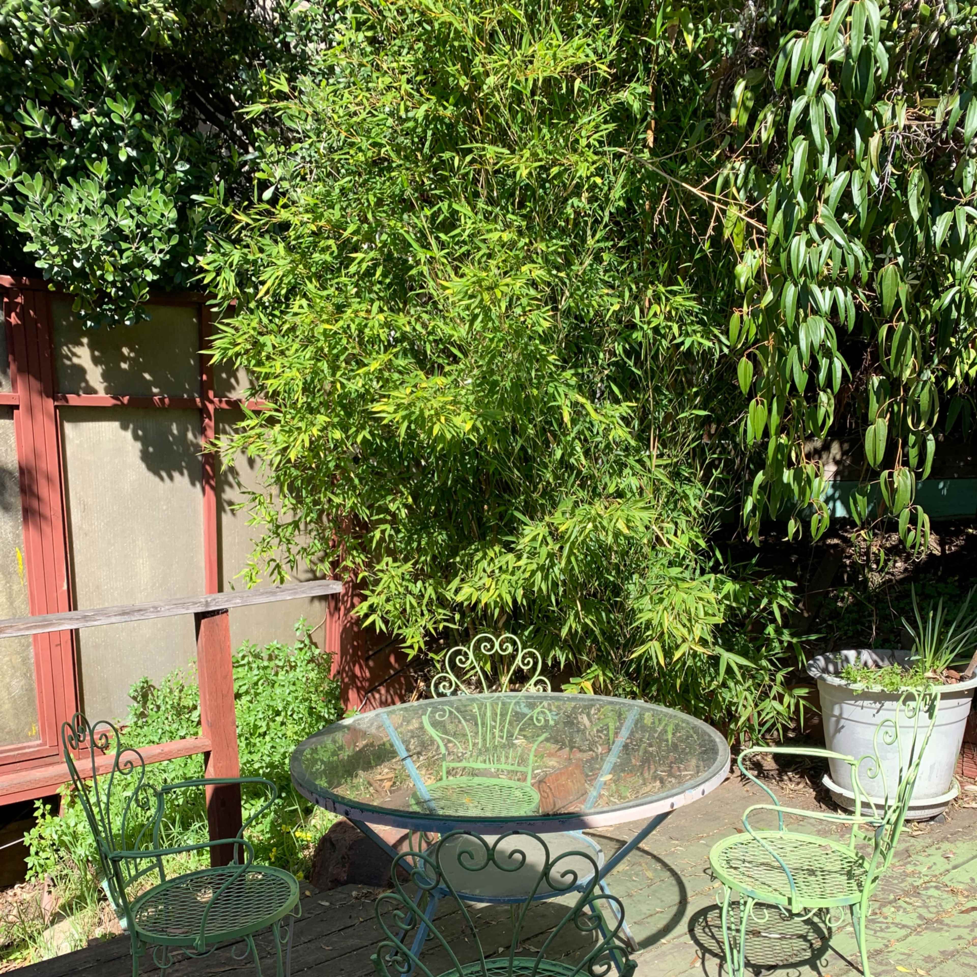 A glass-topped table surrounded by four green metal chairs is placed on a wooden deck next to a large bamboo plant.