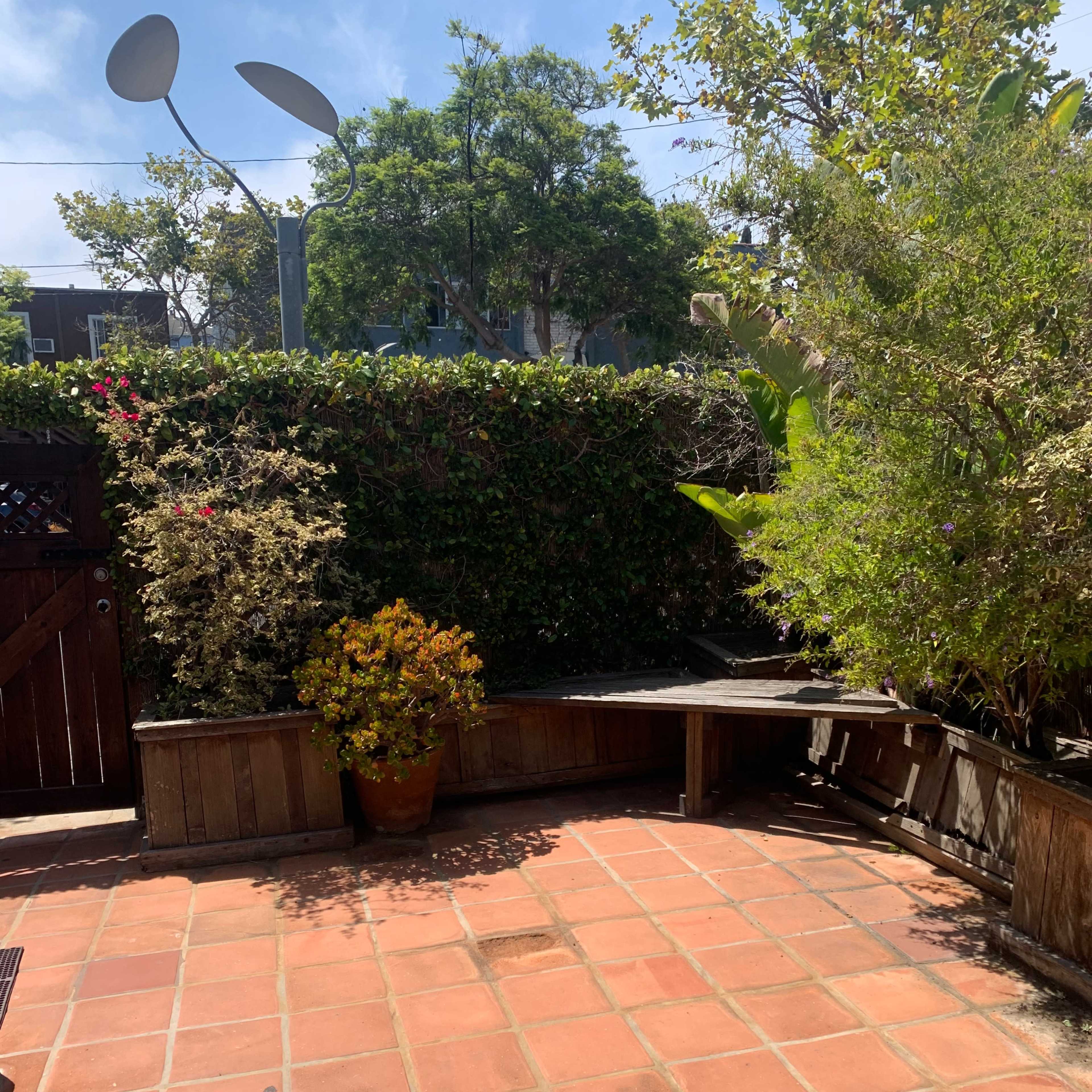 A sunlit patio with terracotta tiles, surrounded by green foliage and potted plants.
