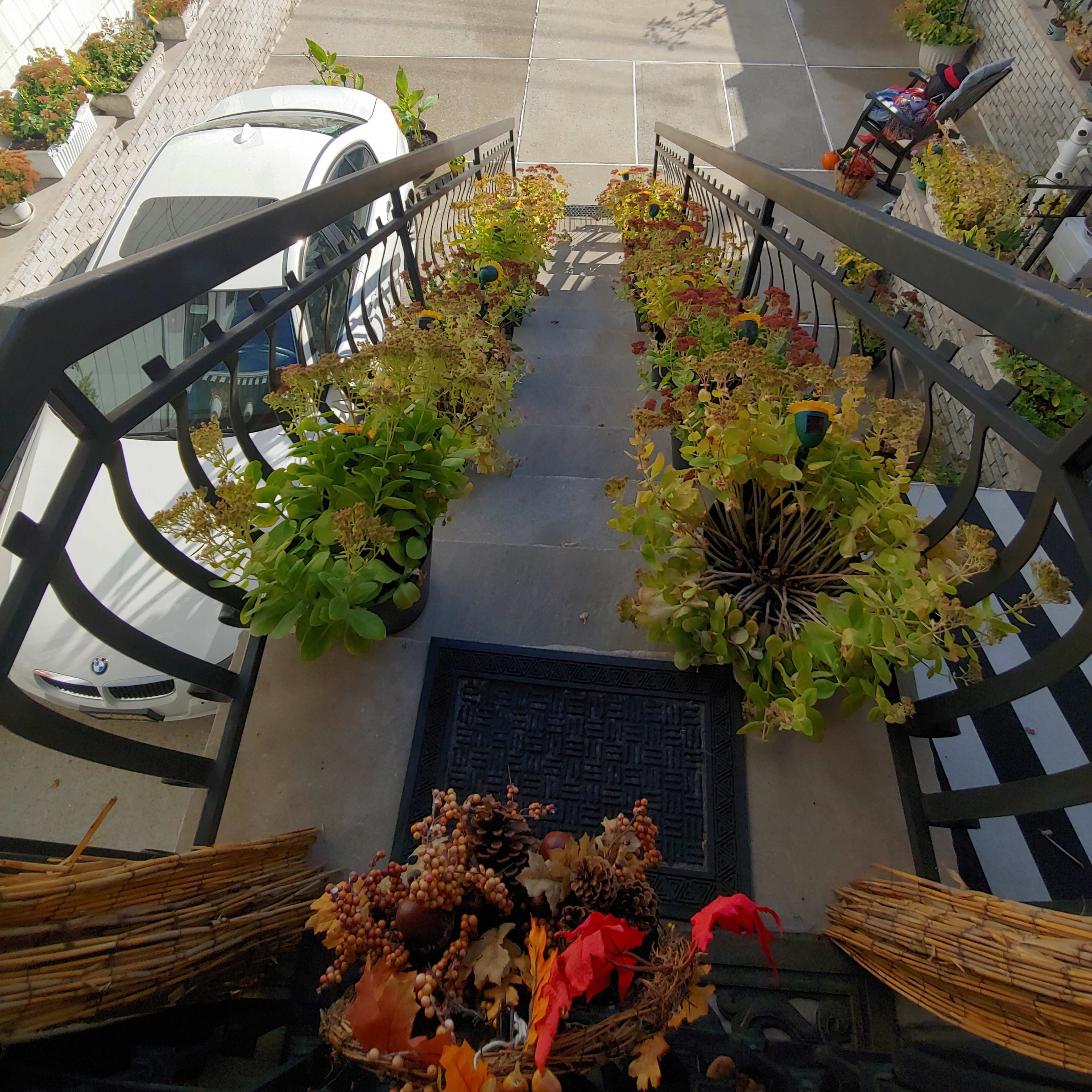 A staircase leading down to a driveway adorned with potted plants, featuring a white car parked at the bottom.