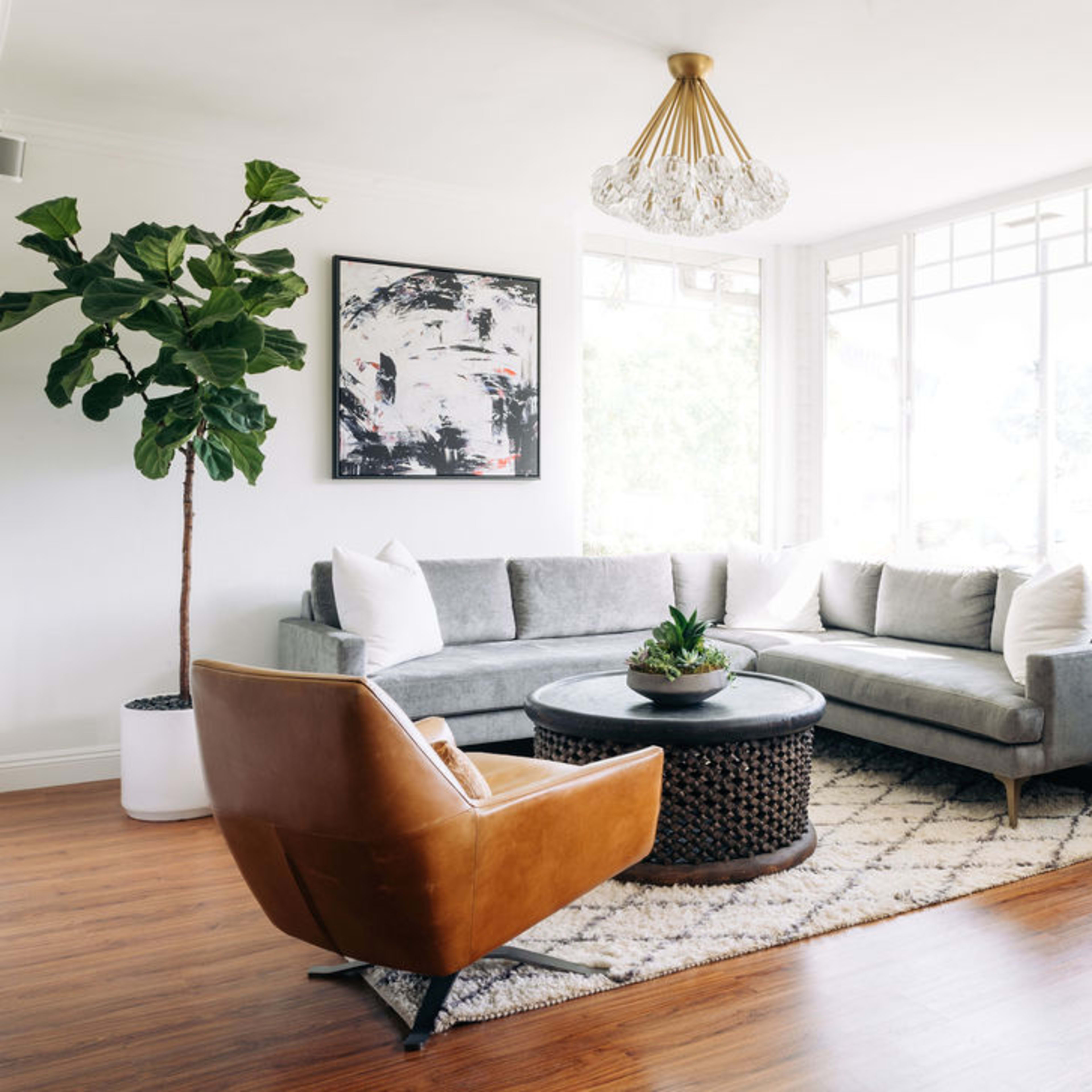 A contemporary living room features a gray sectional sofa, a round coffee table, a large plant, and ample natural light from a wall of windows.