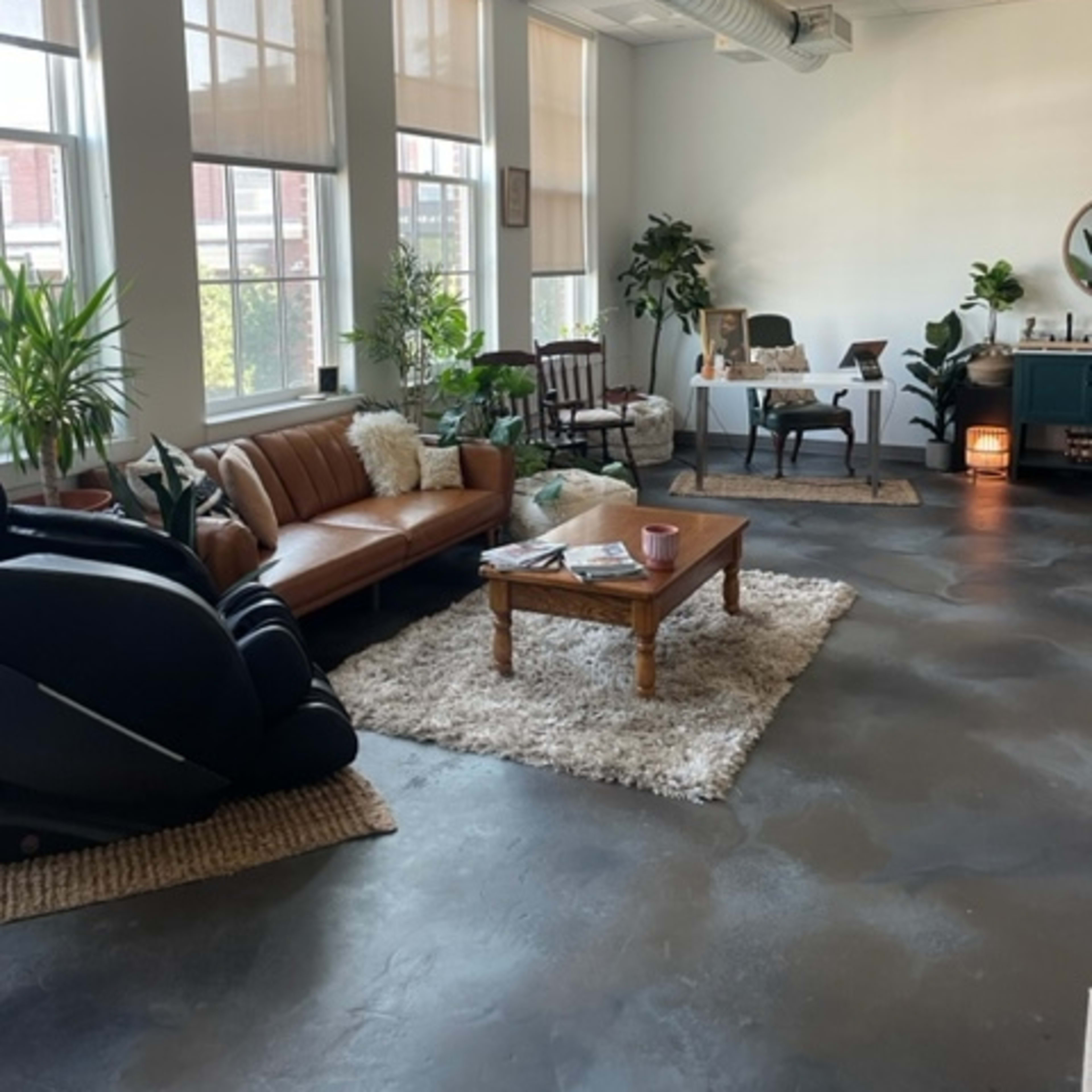 A spacious, modern room featuring a brown leather sofa, a wooden coffee table on a light rug, and several plants scattered throughout the space.