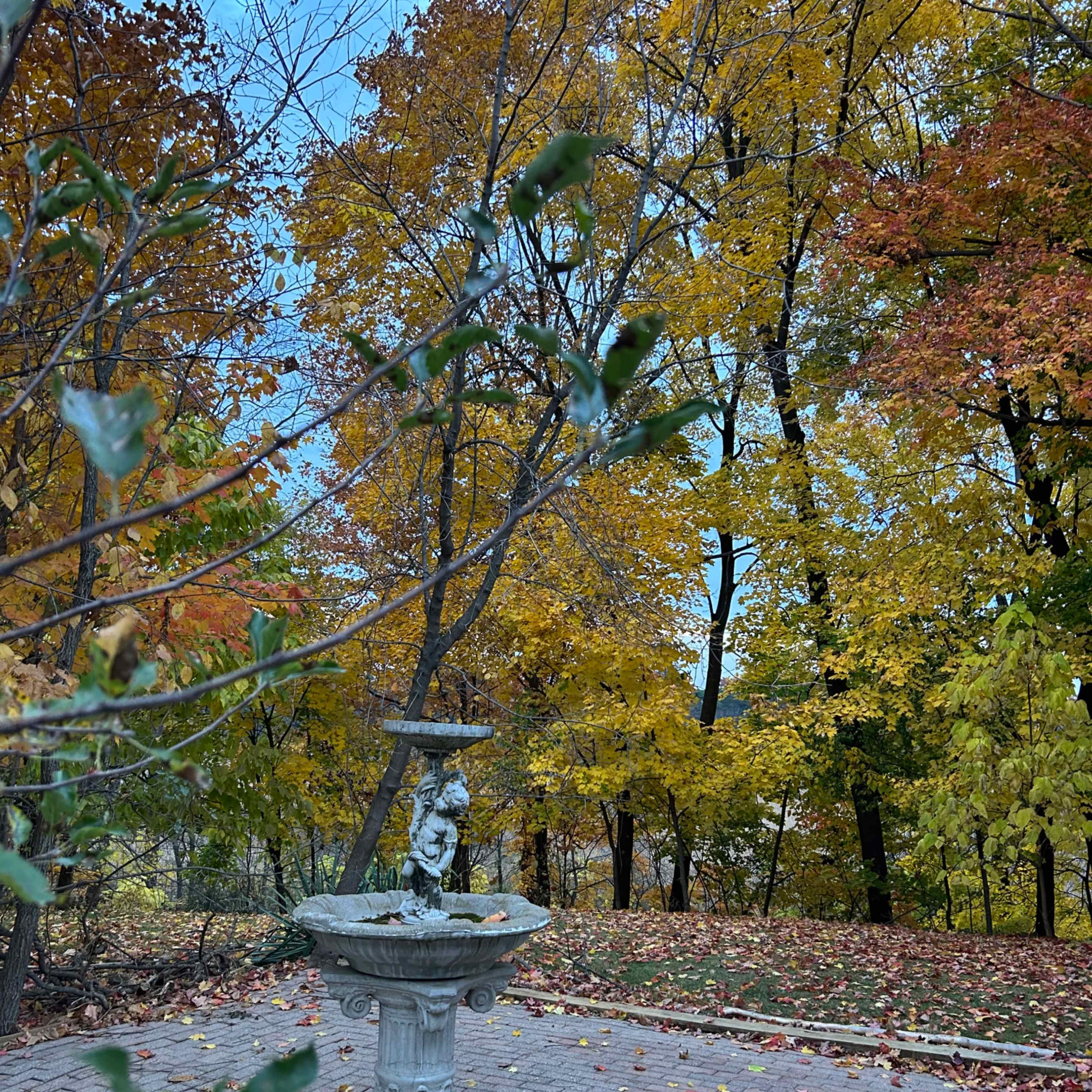 A stone fountain is surrounded by autumn foliage and a brick patio.