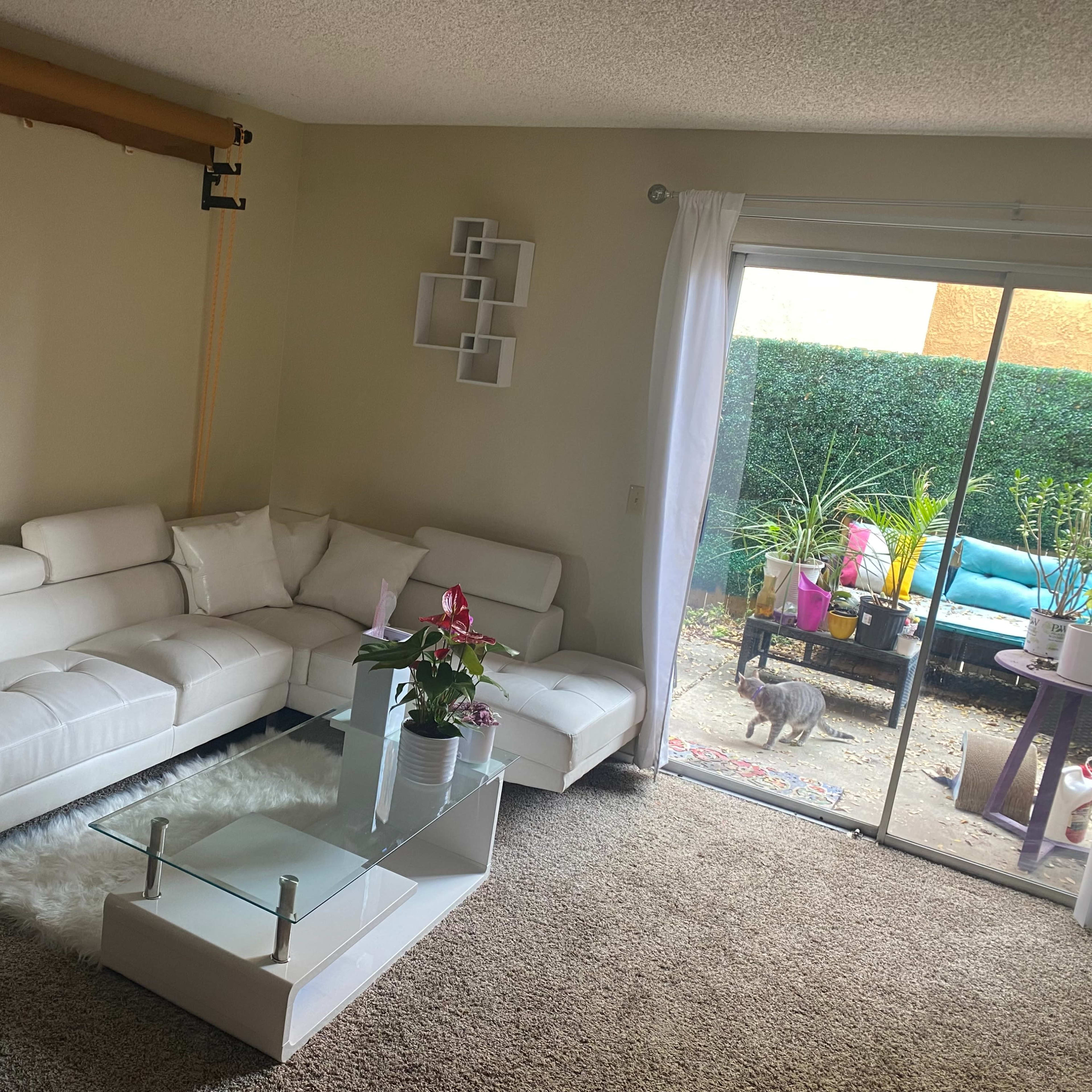 A living room with a white sectional sofa, a glass coffee table, a small plant arrangement, and a sliding door leading to a patio area with outdoor furniture.
