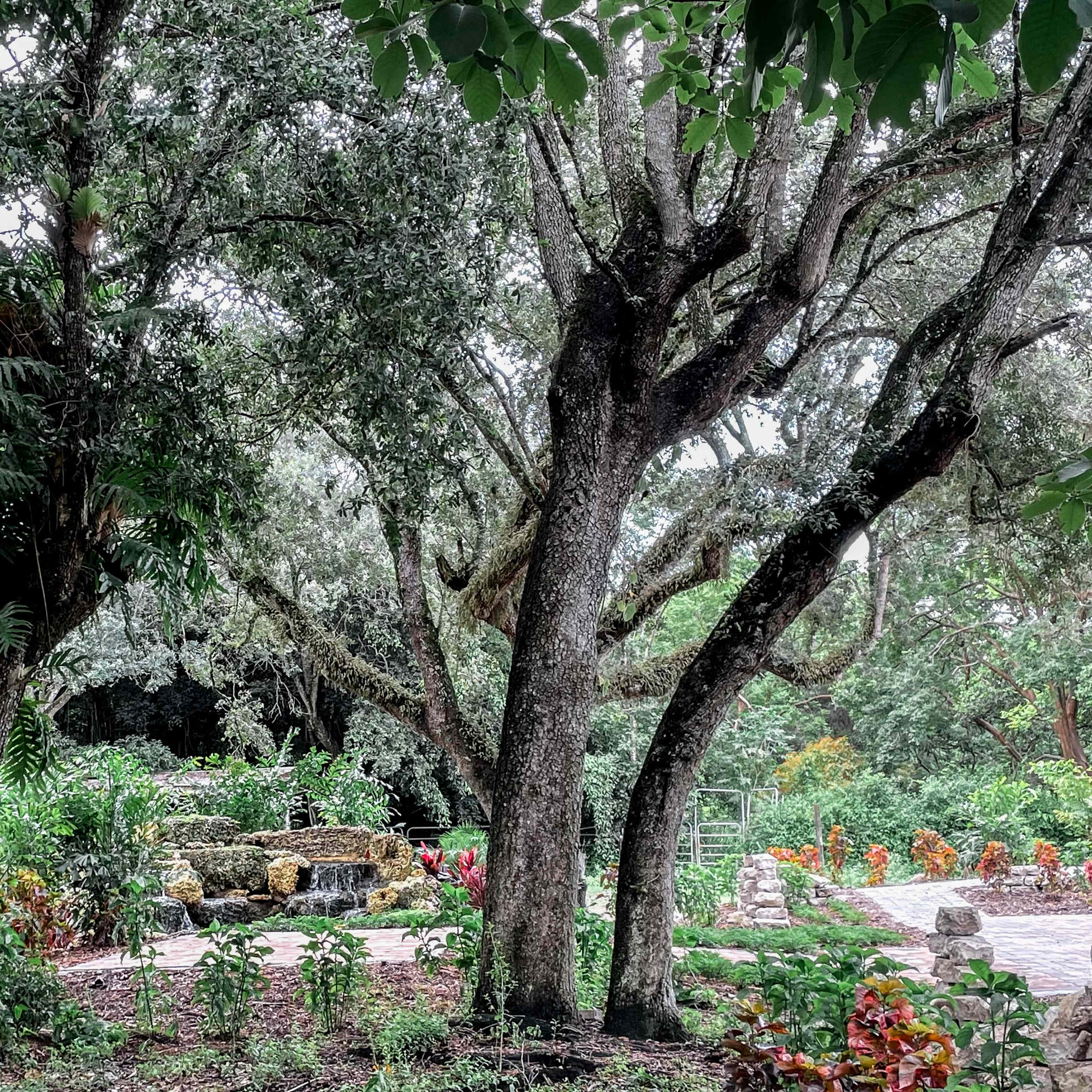 Outdoor Garden Venue with Whimsical Charm Image in , Miami, FL