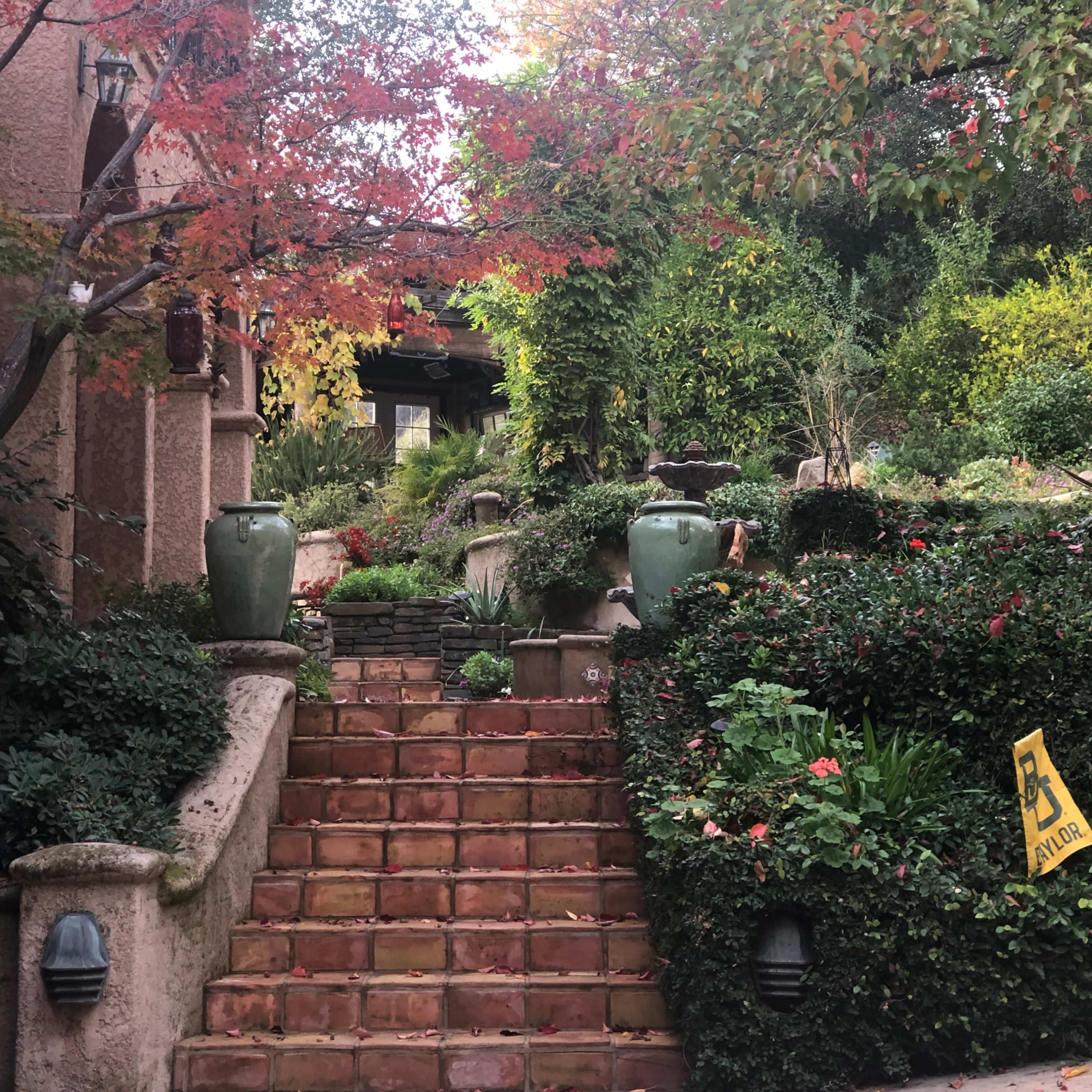 A stone staircase adorned with terracotta tiles leads up through a lush garden filled with potted plants and colorful foliage.