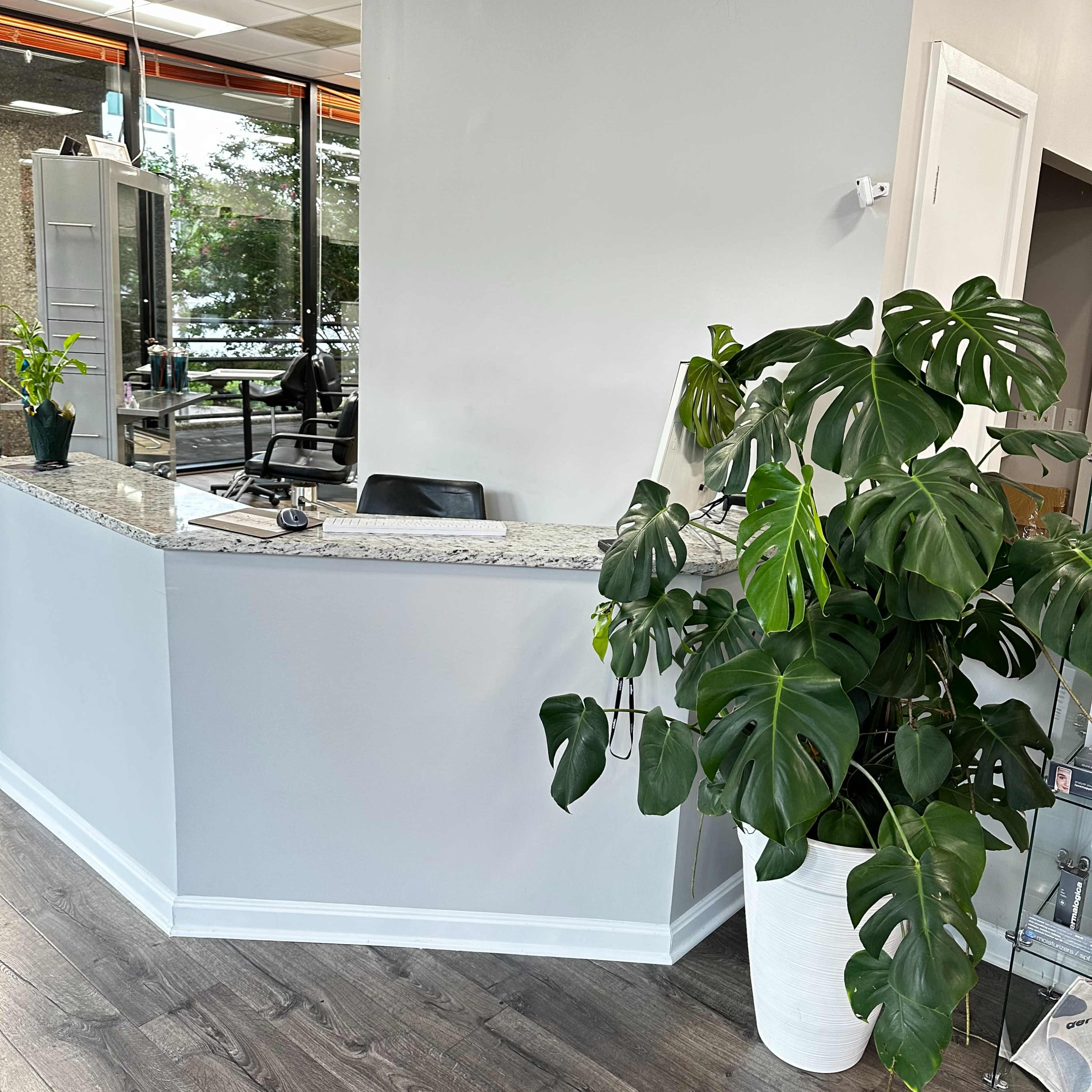 A reception area with a curved granite countertop and a large potted plant near the entrance.