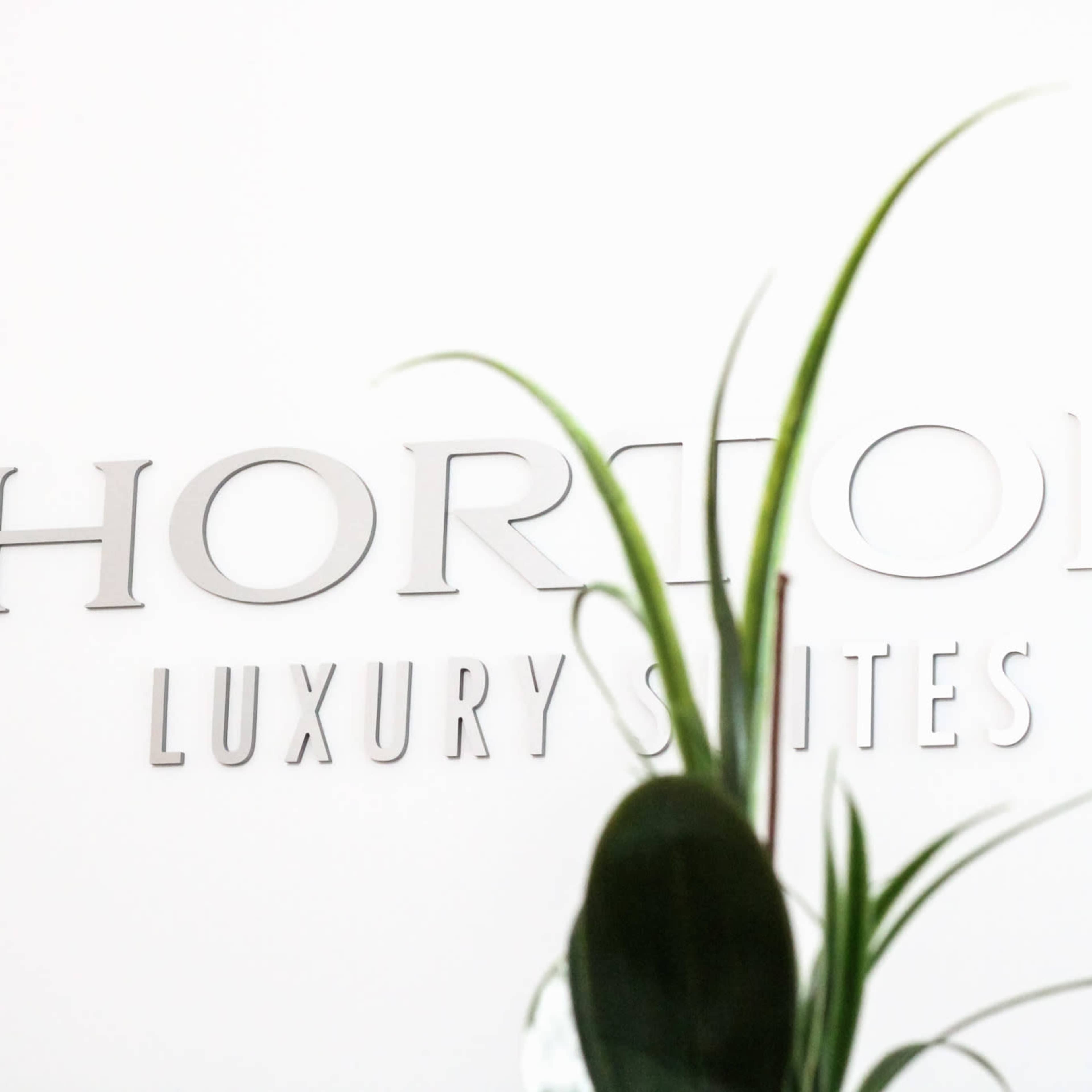A sign that reads "HORTON LUXURY SUITES" along with green plant leaves in the foreground.