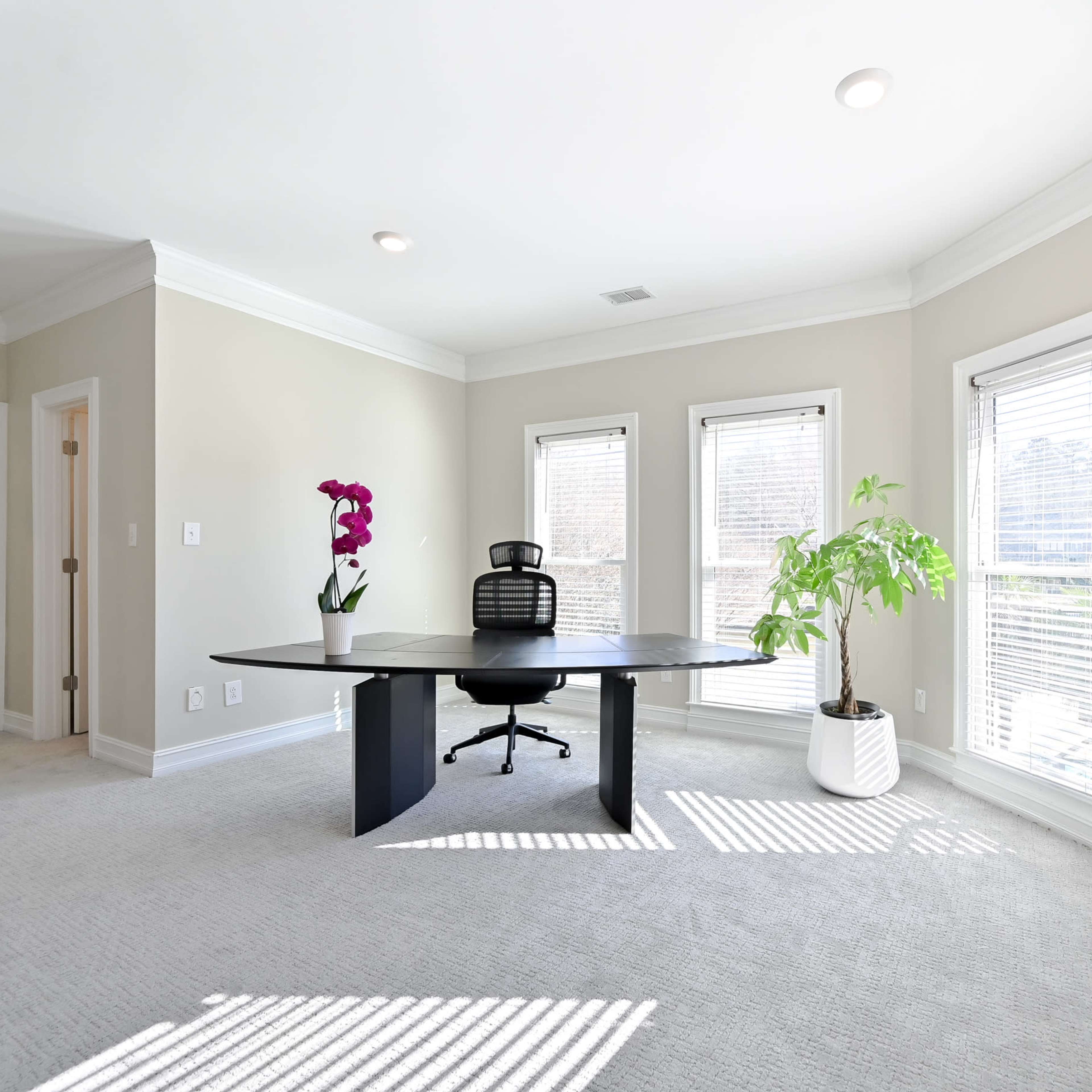A spacious office with a black desk and chair, large windows allowing natural light, and a potted plant in one corner.
