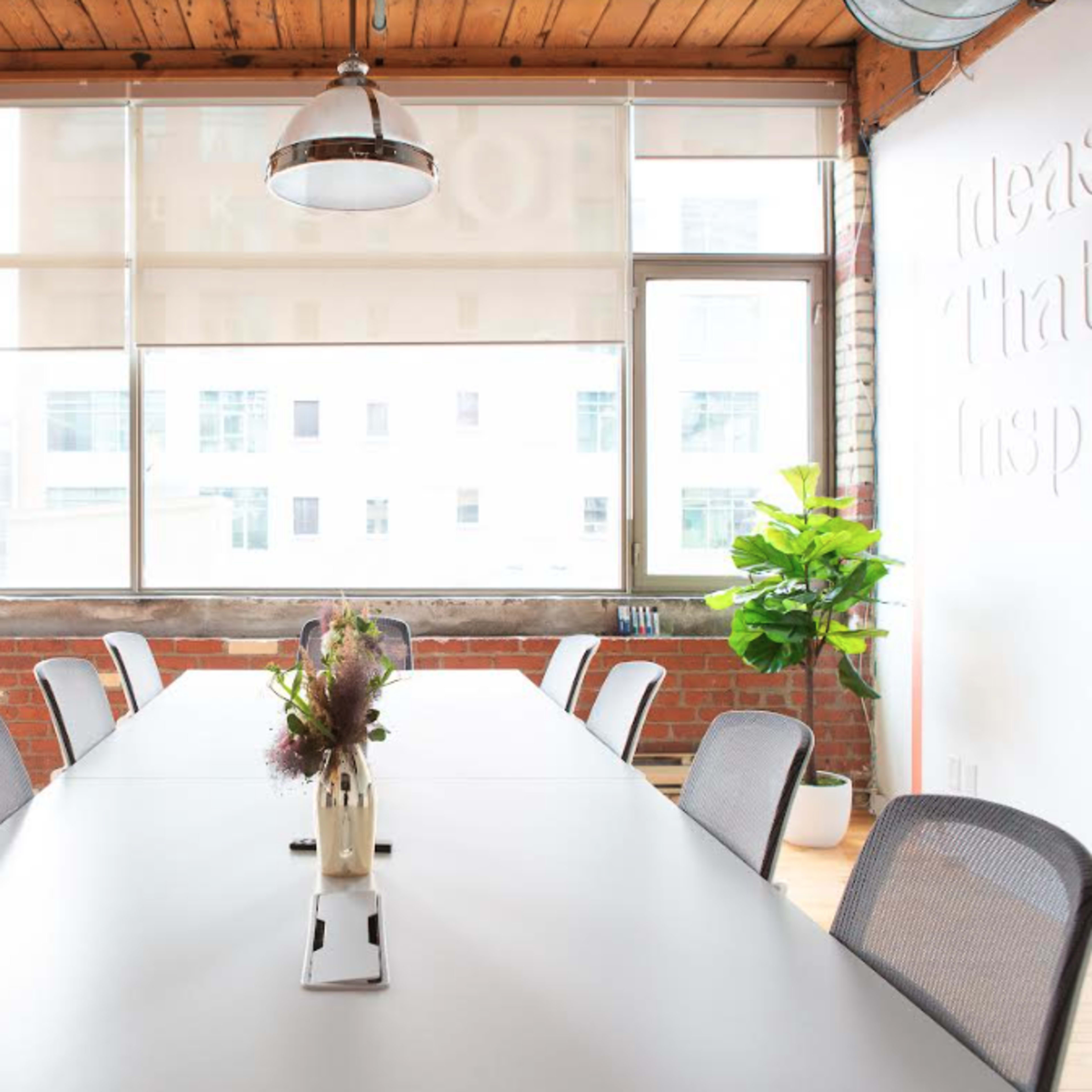 A modern conference room with a long table, mesh chairs arranged around it, large windows letting in natural light, and a potted plant on the side.