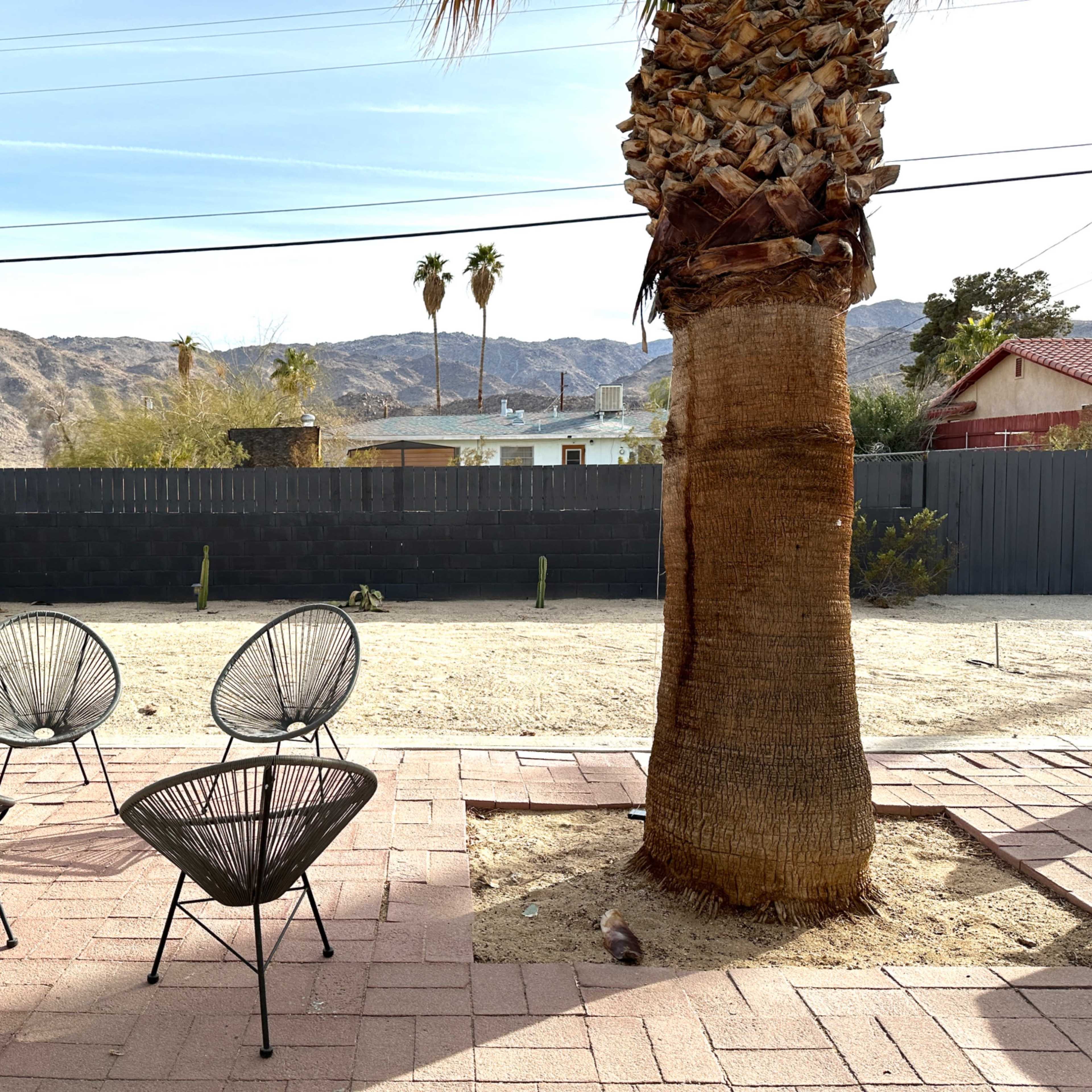A desert landscape features four black wire chairs arranged near a palm tree, with mountains and a sparse yard visible in the background.
