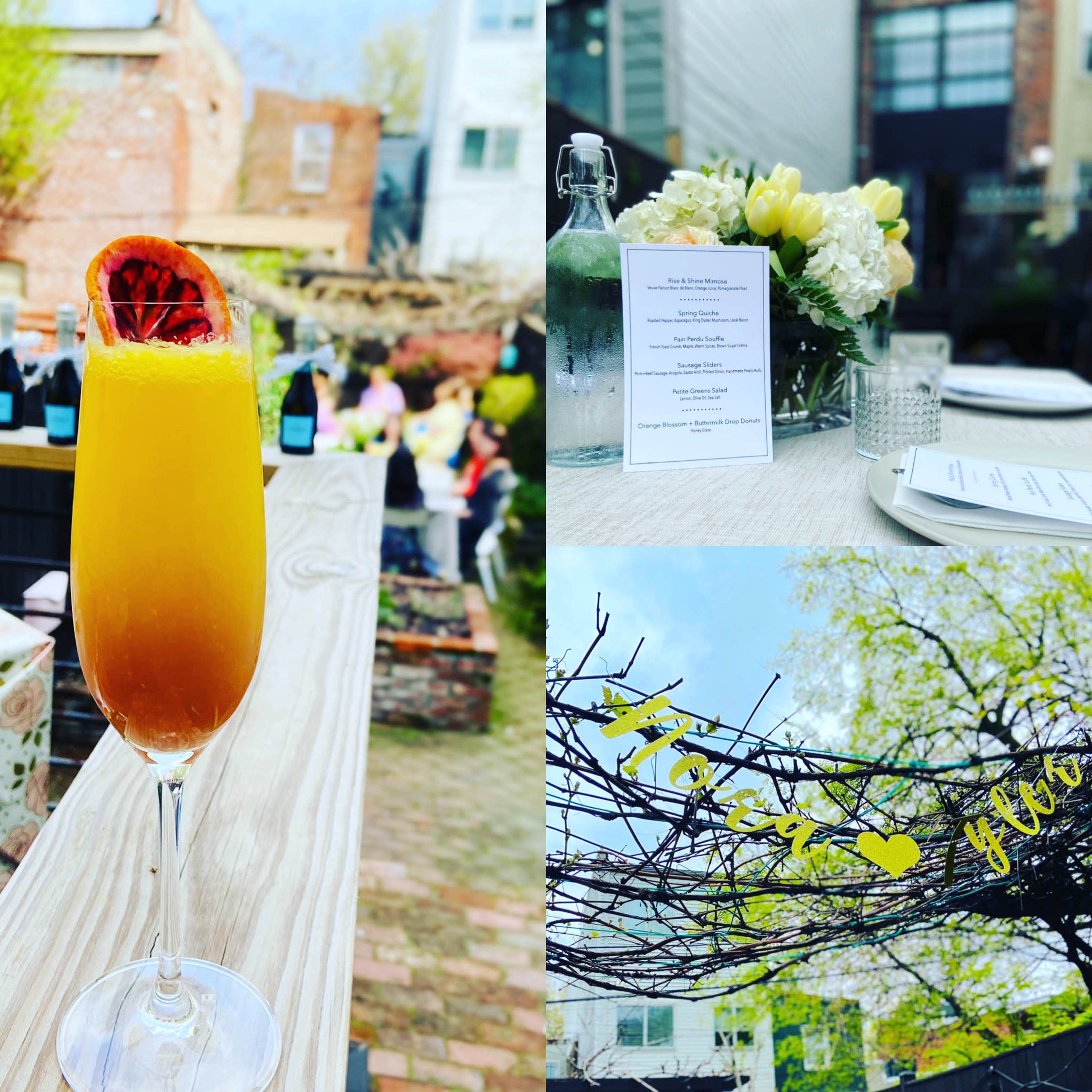A vibrant cocktail in a glass, a menu on a table, and a decorative sign overhead, all set in a garden ambiance with blurred people and greenery in the background.