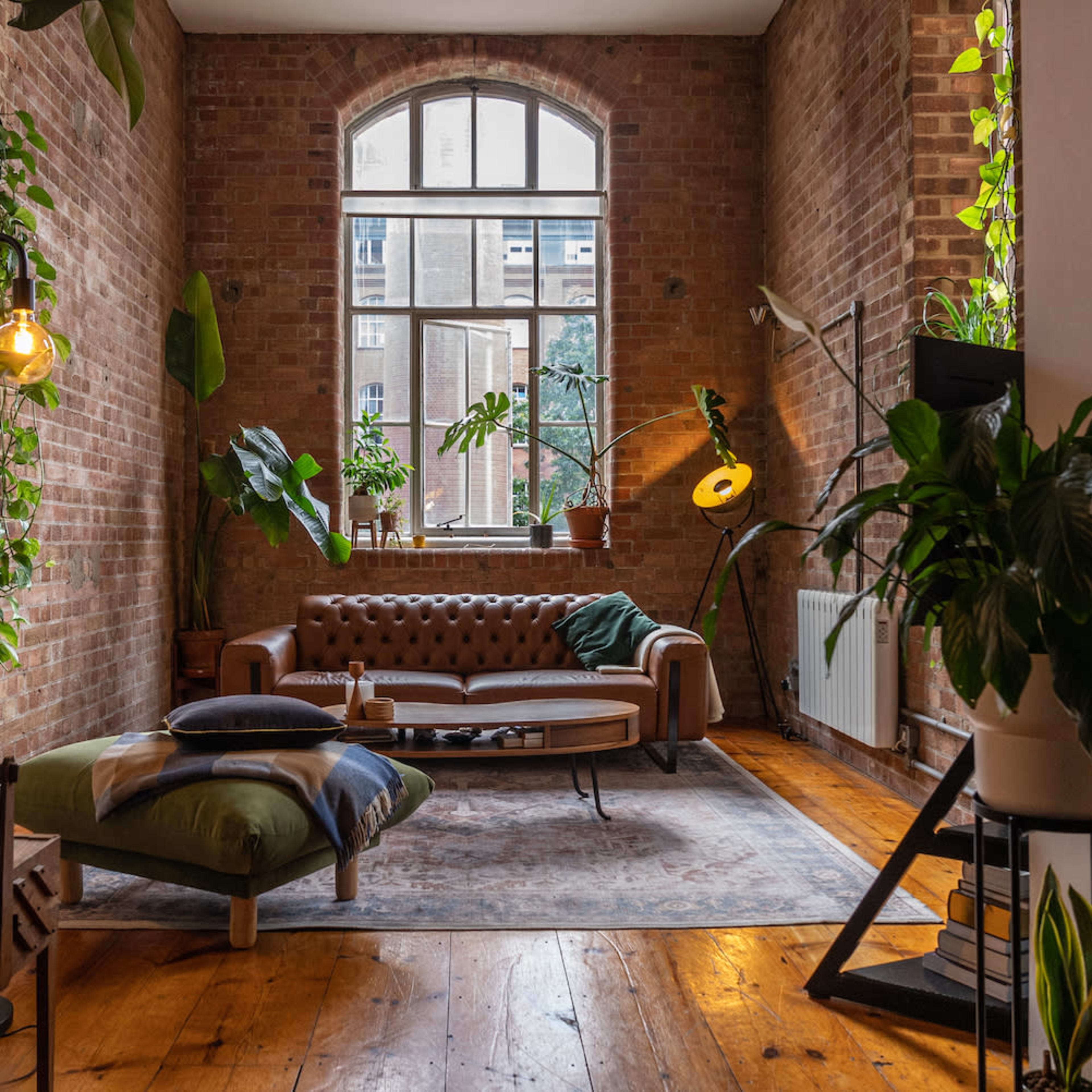 A cozy living room featuring a brown leather sofa, a patterned rug, wooden flooring, and large windows with plants positioned throughout the space.