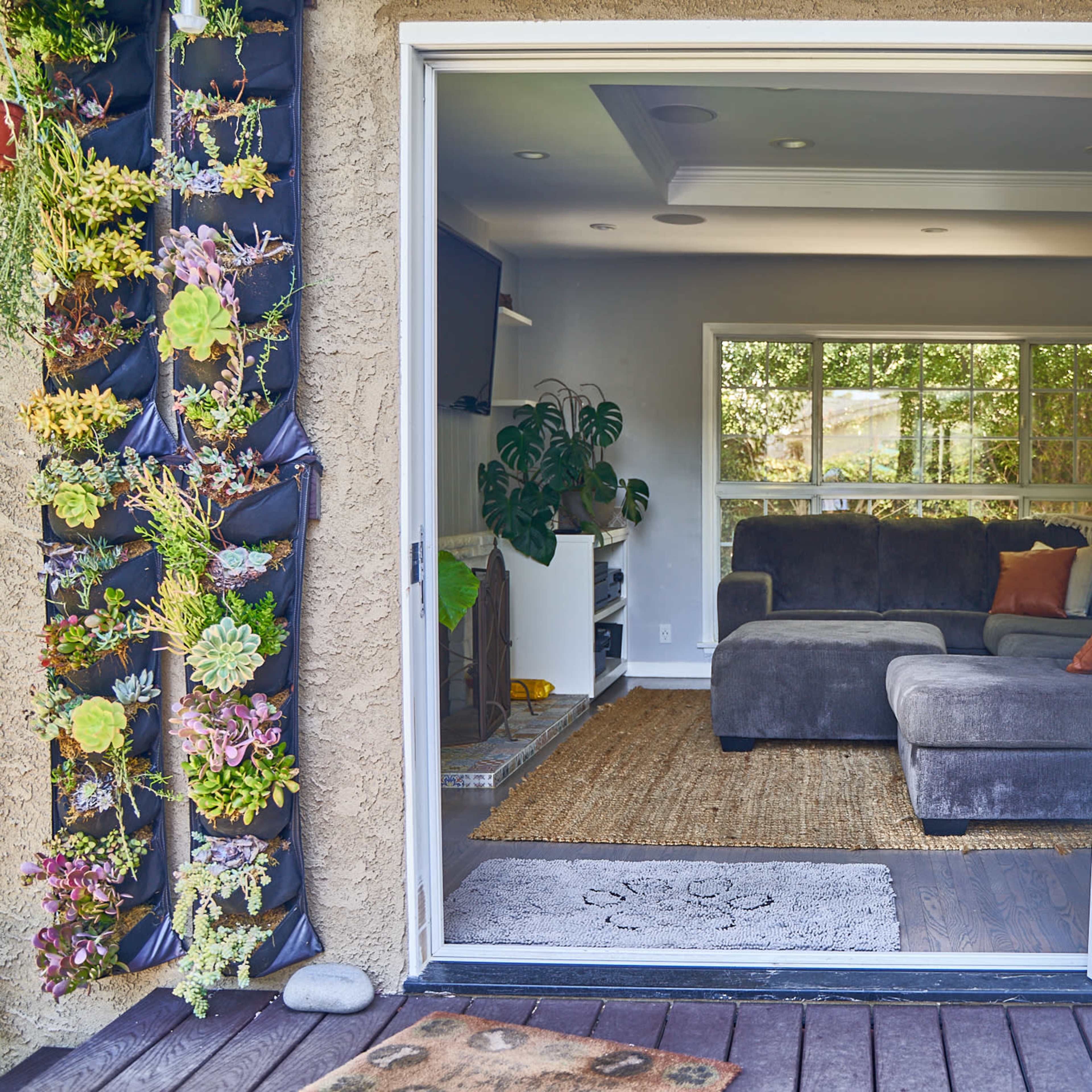 An open doorway leading from a deck into a living room with a gray sectional sofa, a large plant, and a decorative wall of succulents.