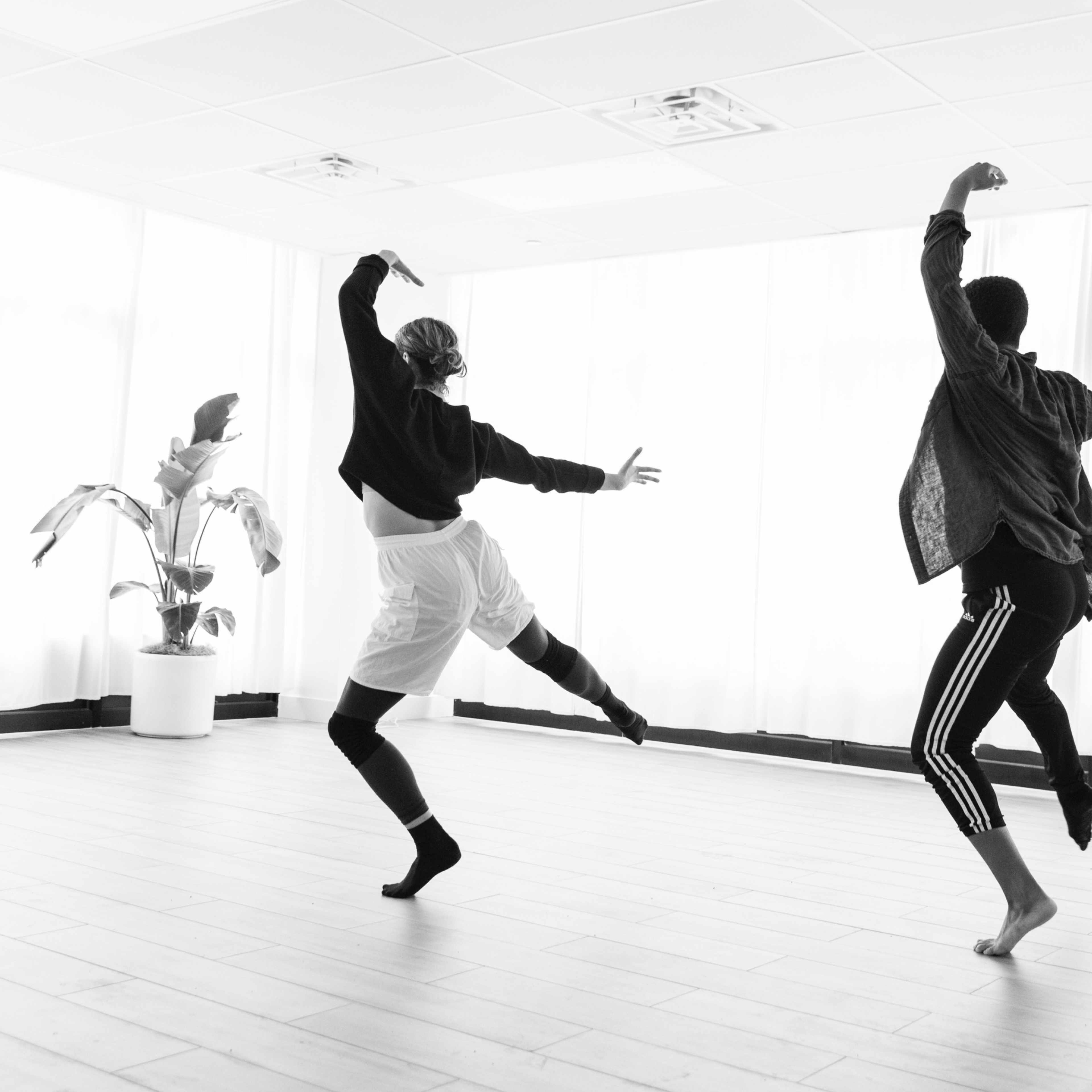 Two dancers perform in a brightly lit studio with large windows and a potted plant in the background.