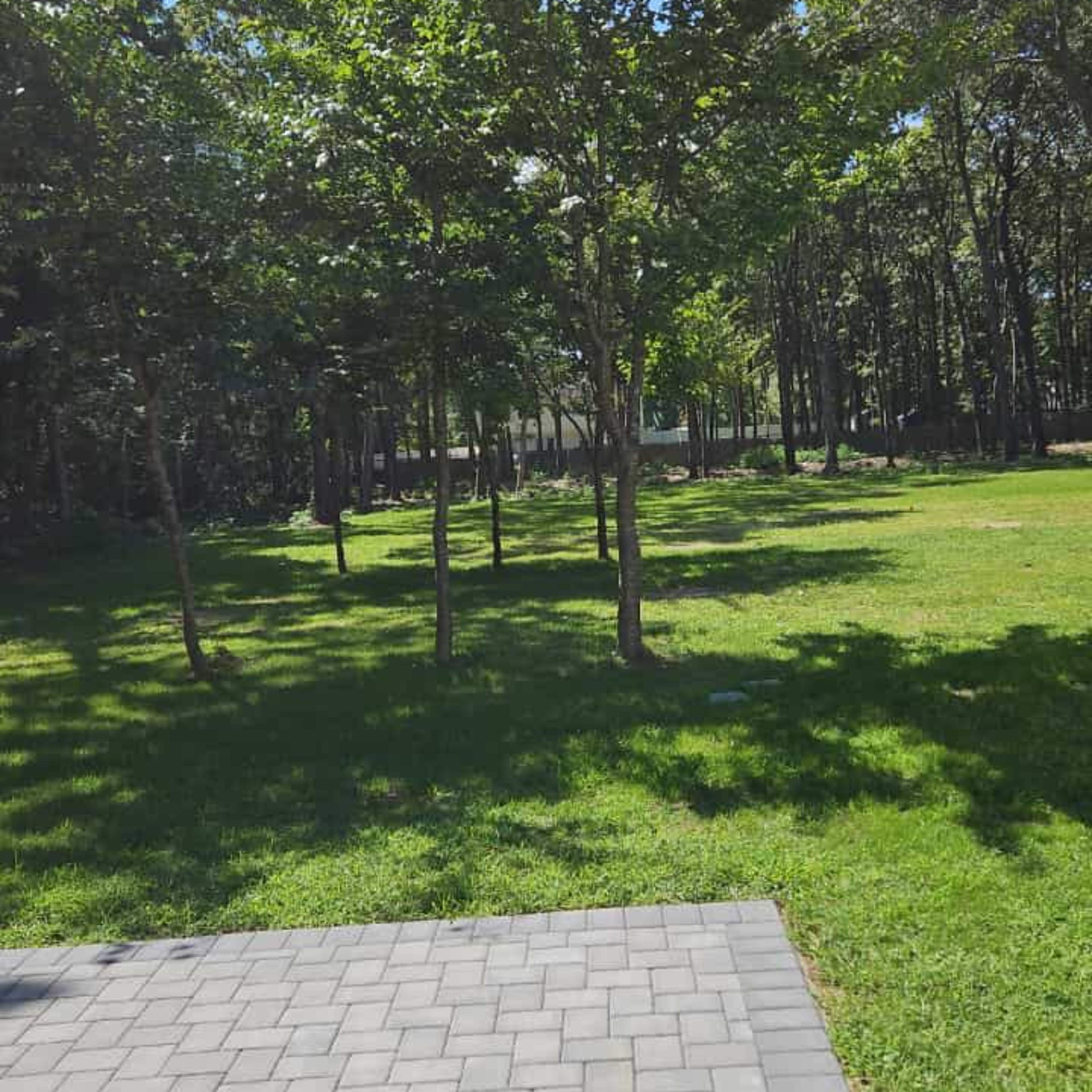 Medford Backyard Oasis. Image in Brookhaven, Medford, NY