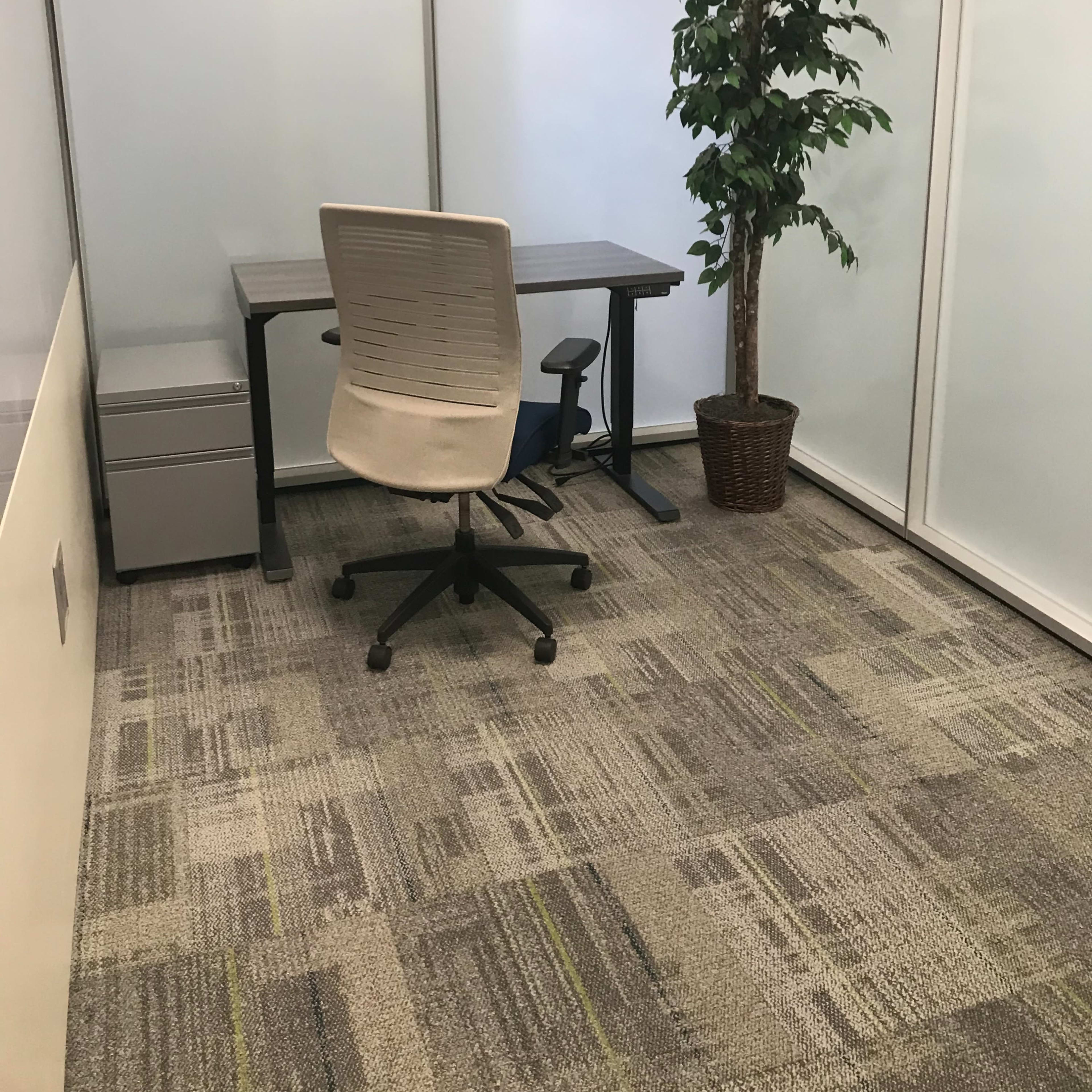 An empty office space features a desk, an ergonomic chair, a filing cabinet, and a potted plant.
