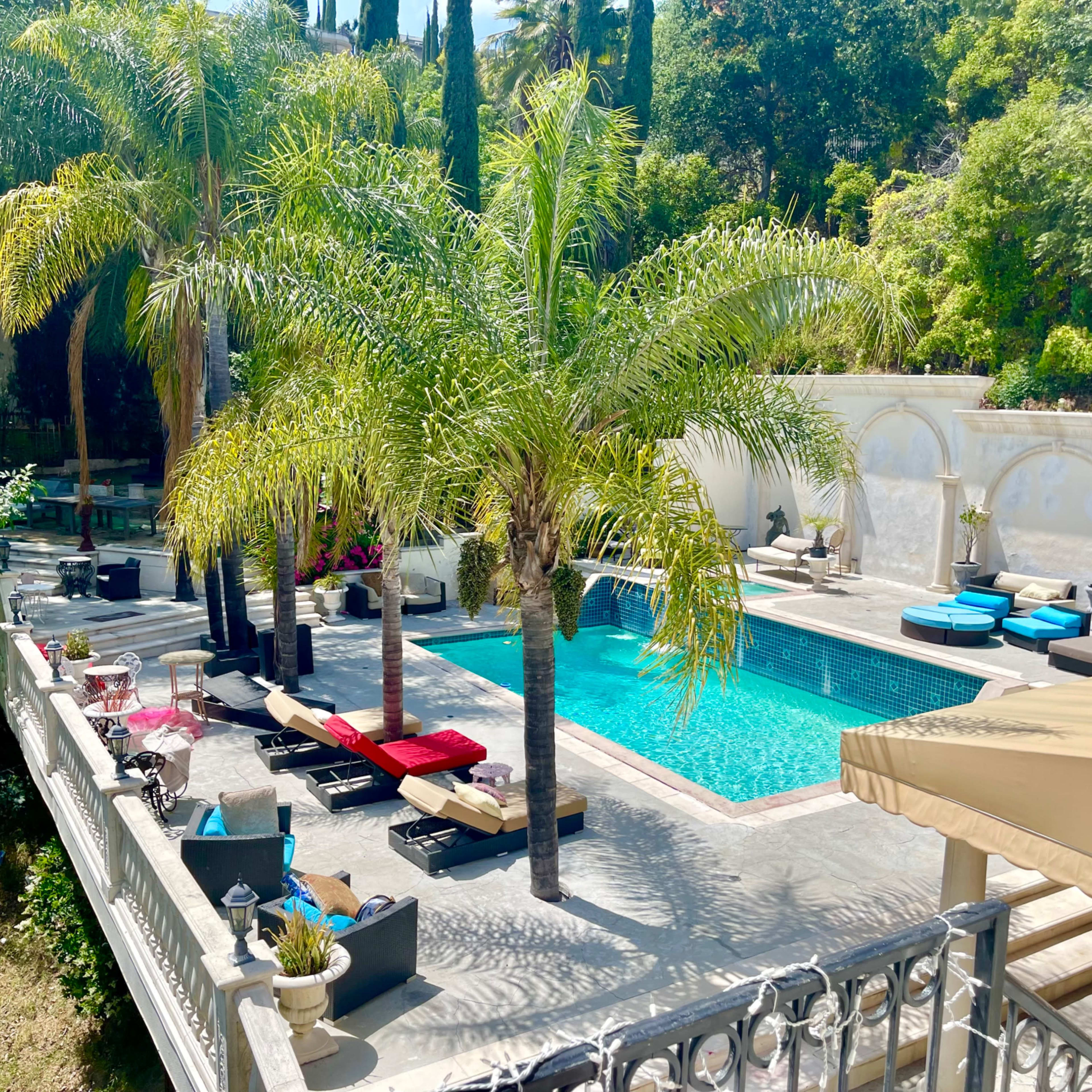 A landscaped pool area surrounded by palm trees, featuring loungers in various colors beside the water.