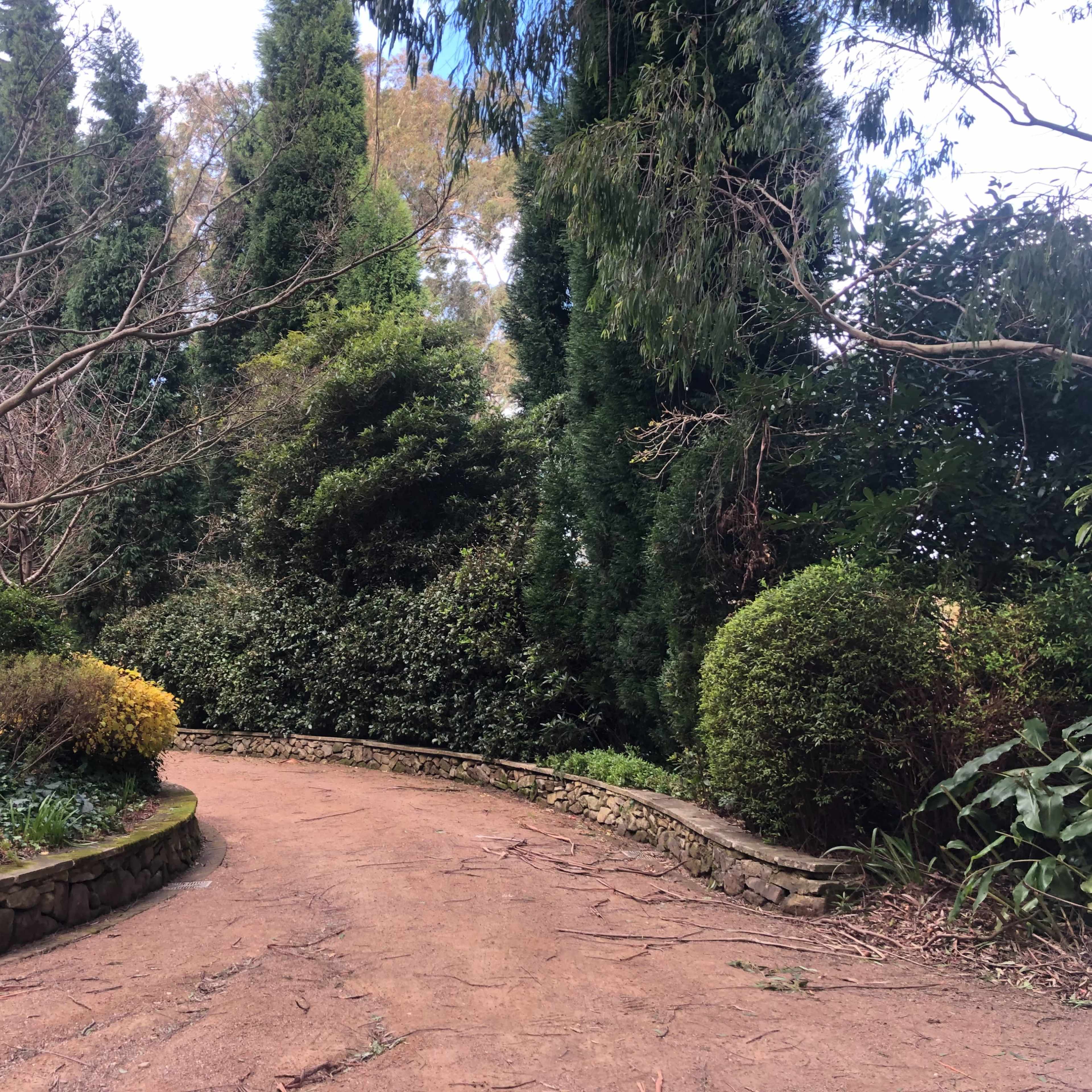 A winding dirt path curves through a garden surrounded by various trees and shrubs.