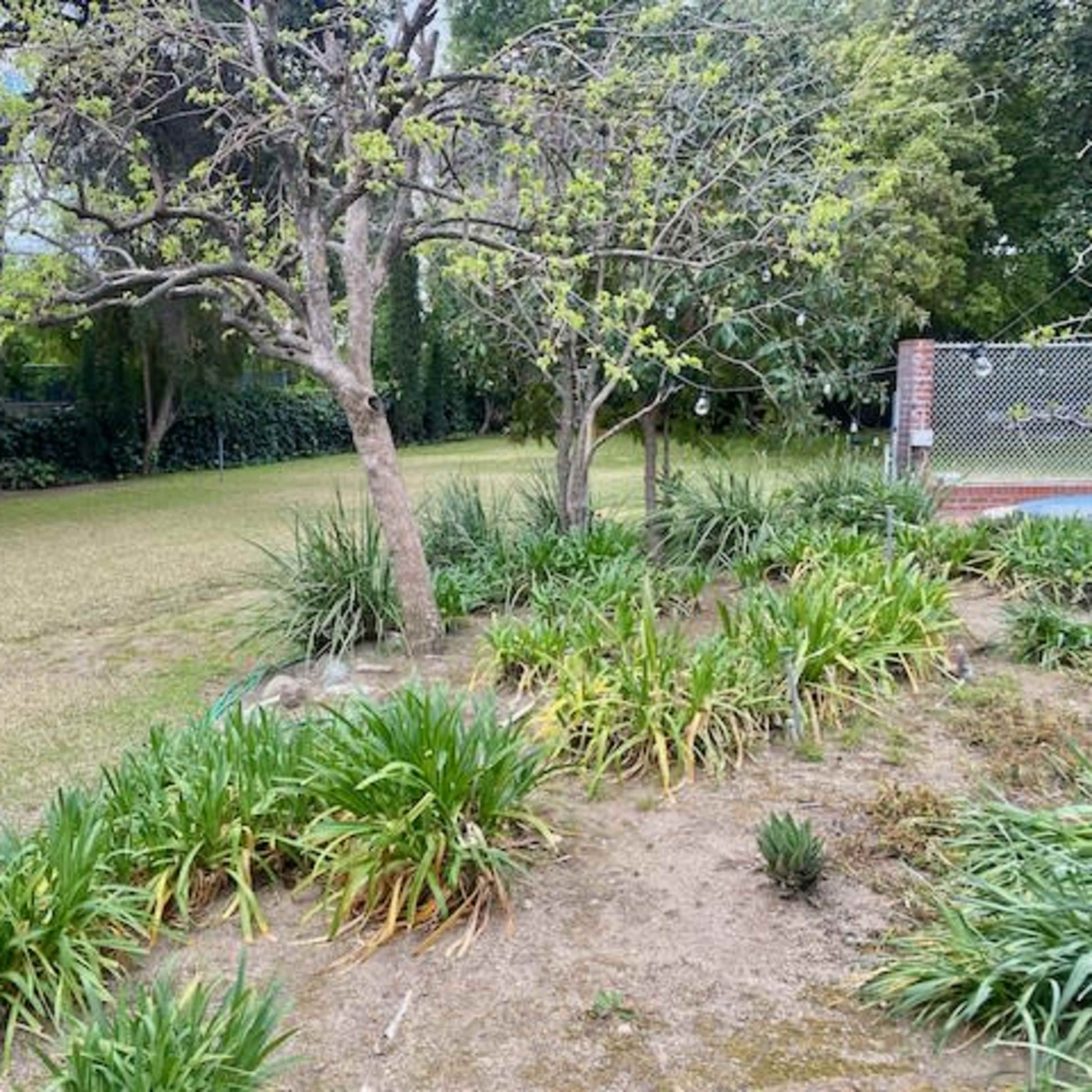 A spacious yard features a small playhouse, trees, and patches of low-growing plants.