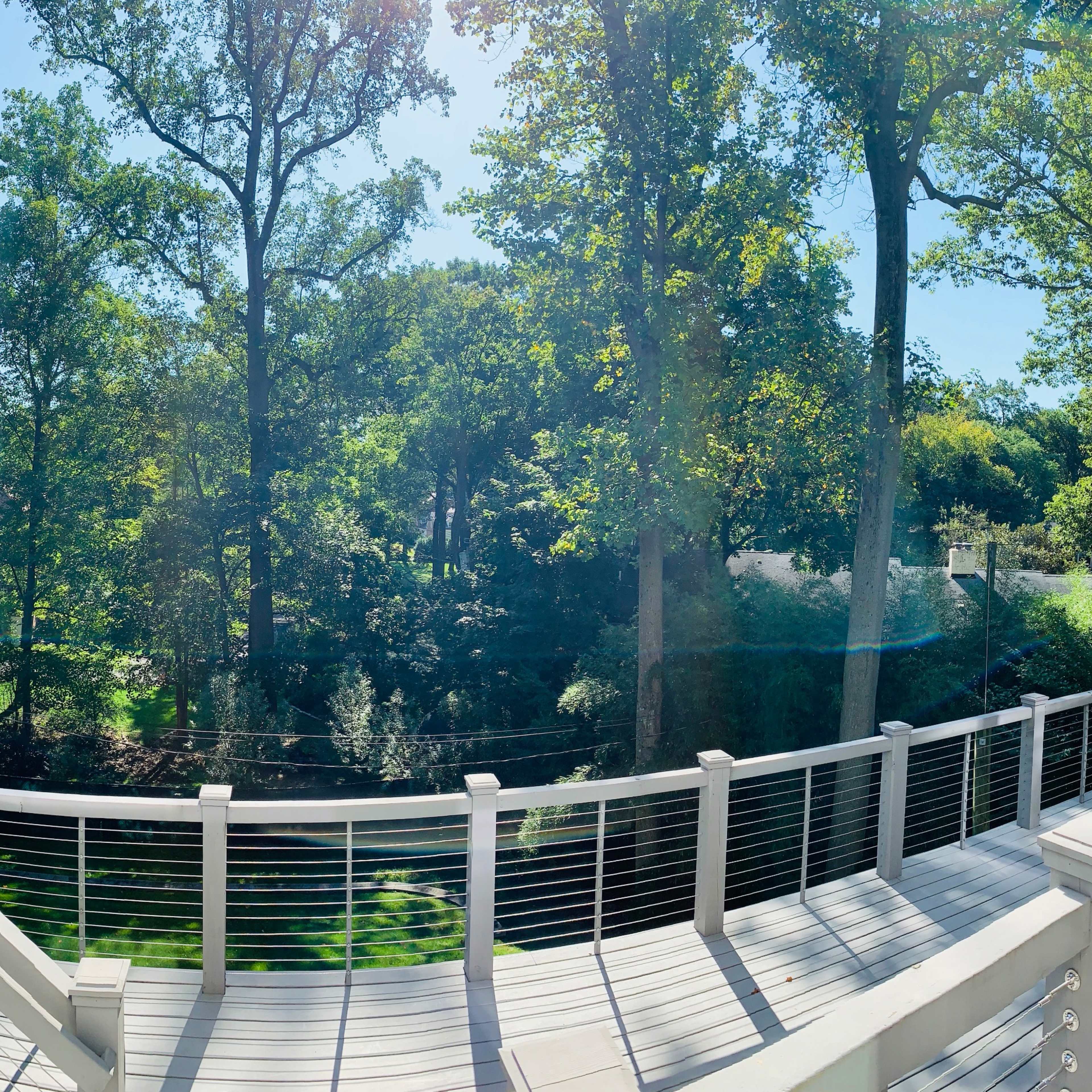 A panoramic view of a wooden deck surrounded by tall trees and lush greenery under a clear blue sky.
