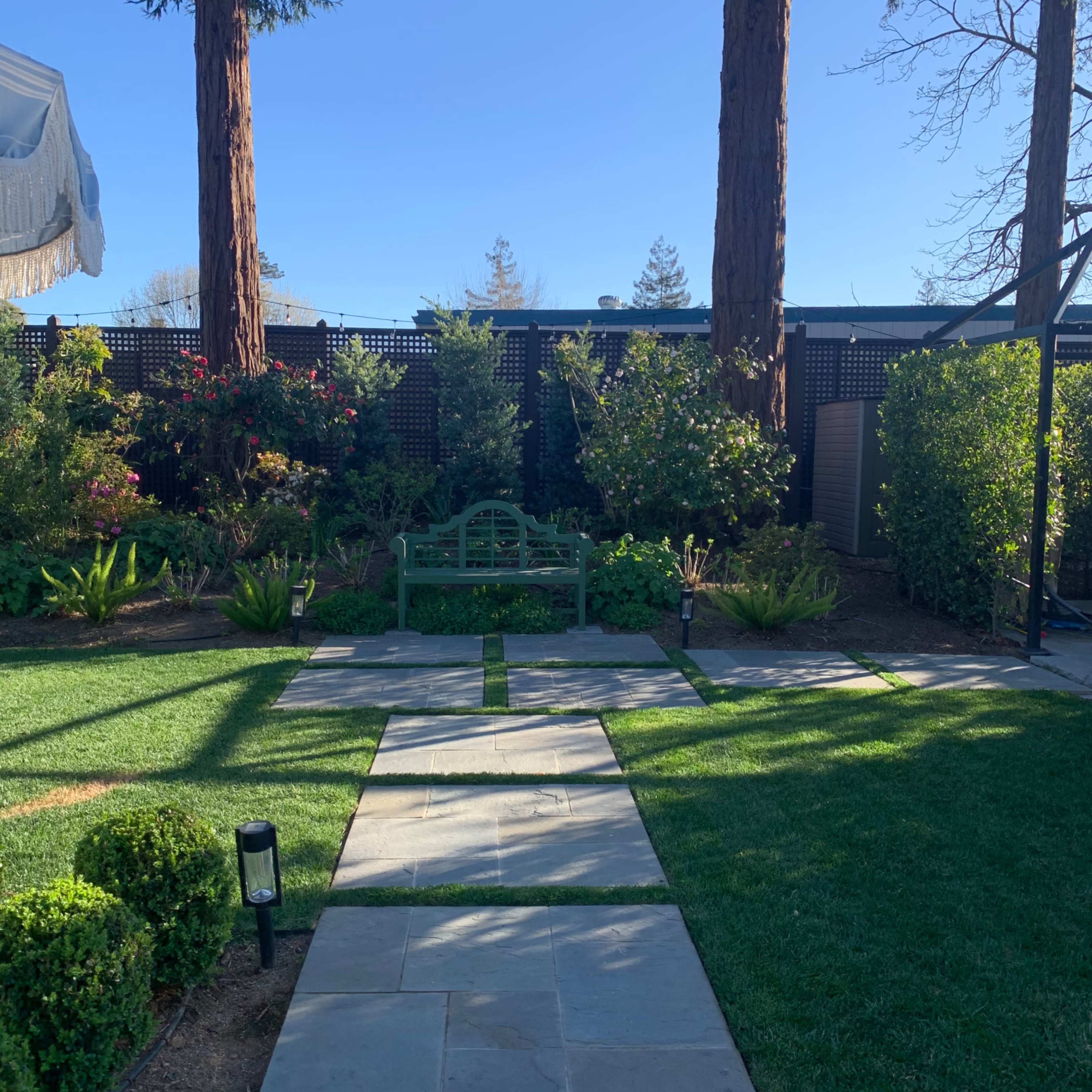 A landscaped garden with a stone pathway leading to a green bench surrounded by tall trees and various plants.
