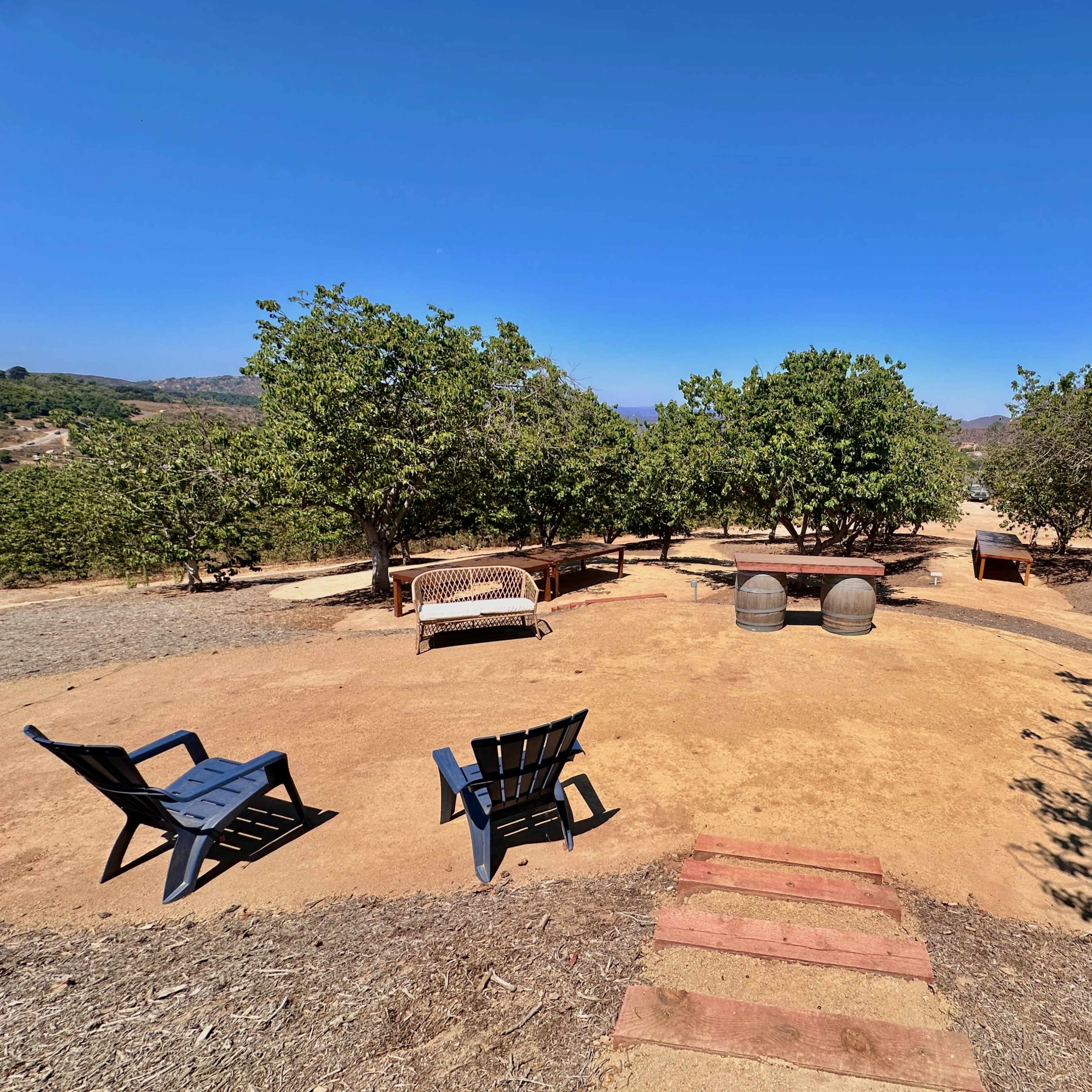 A pathway leads through a dirt area with seating and two large trees in a sunny outdoor setting.