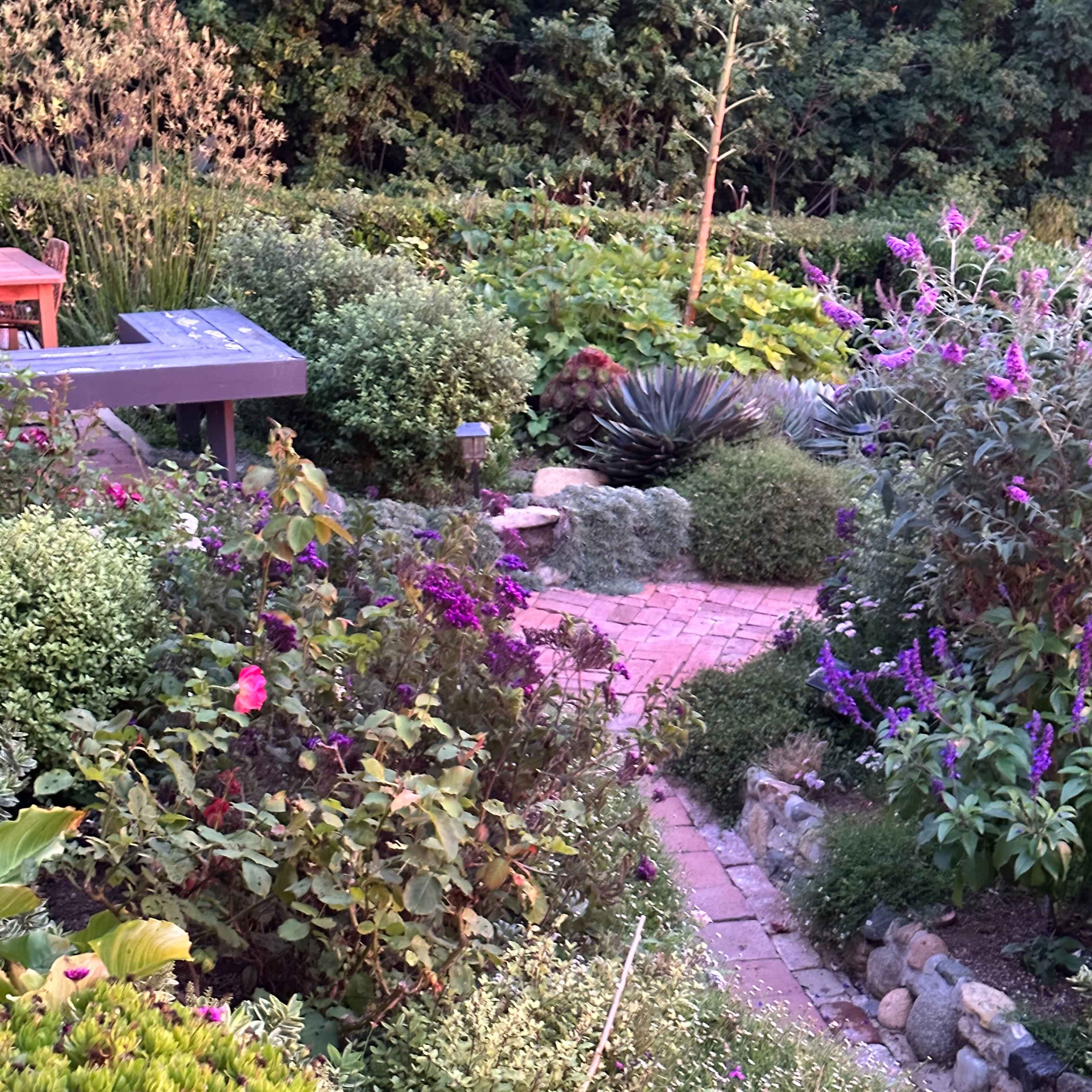 A winding brick pathway leads through a garden filled with various plants and flowers, bordered by greenery and stones.