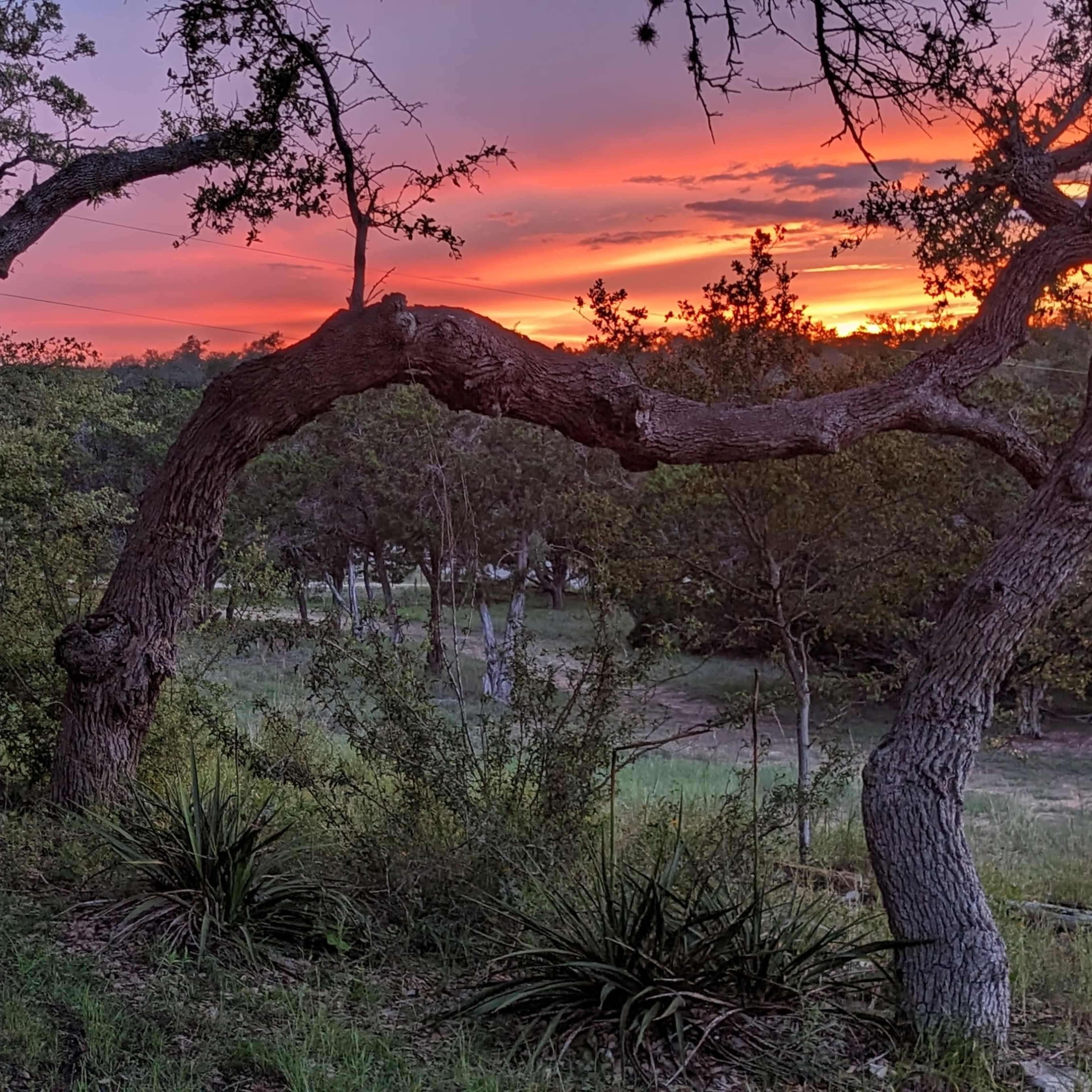 A wooden swing hangs from a tree branch amidst a green landscape as the sun sets behind the horizon, casting vibrant colors in the sky.