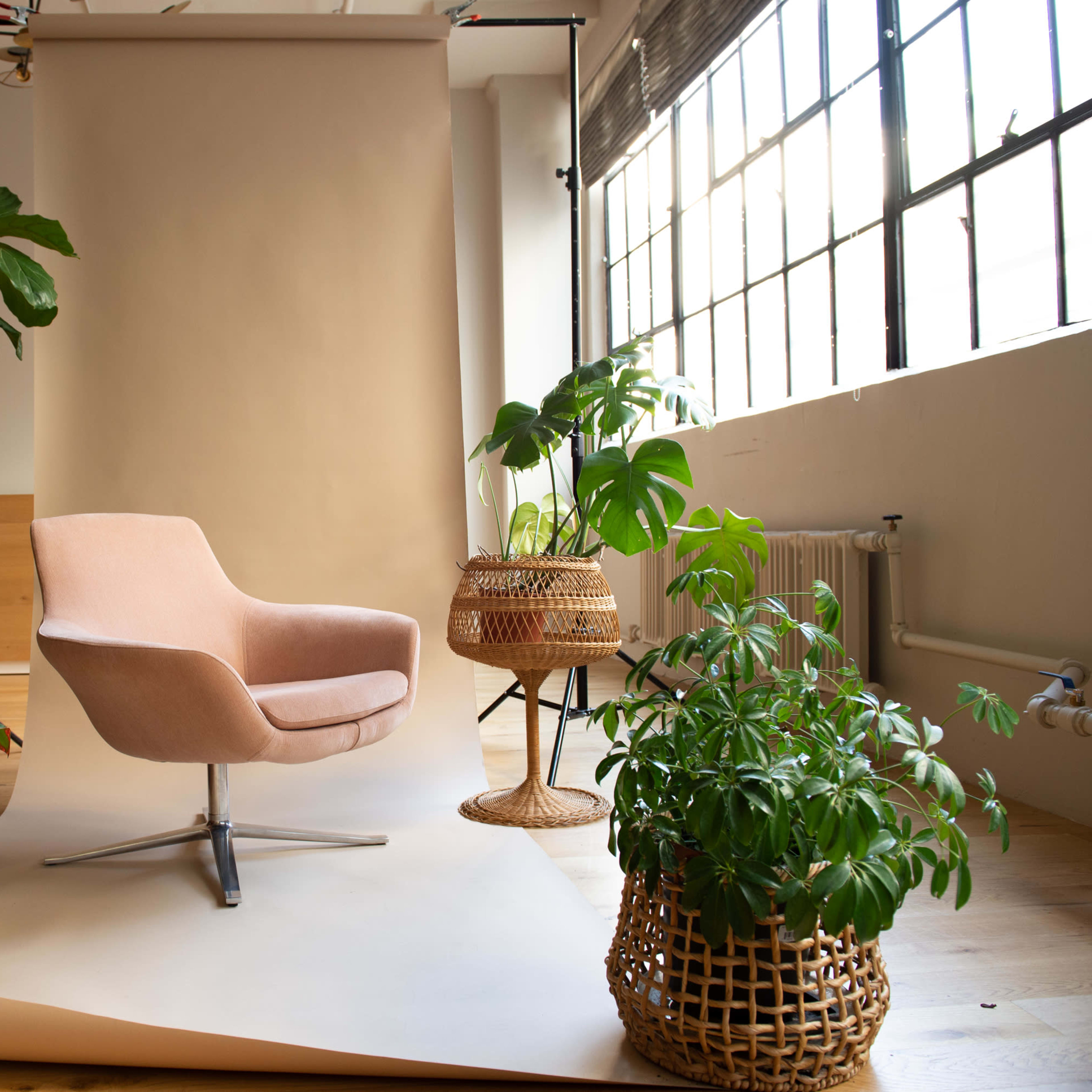 A soft pink chair is positioned on a neutral backdrop surrounded by various potted plants in woven baskets.