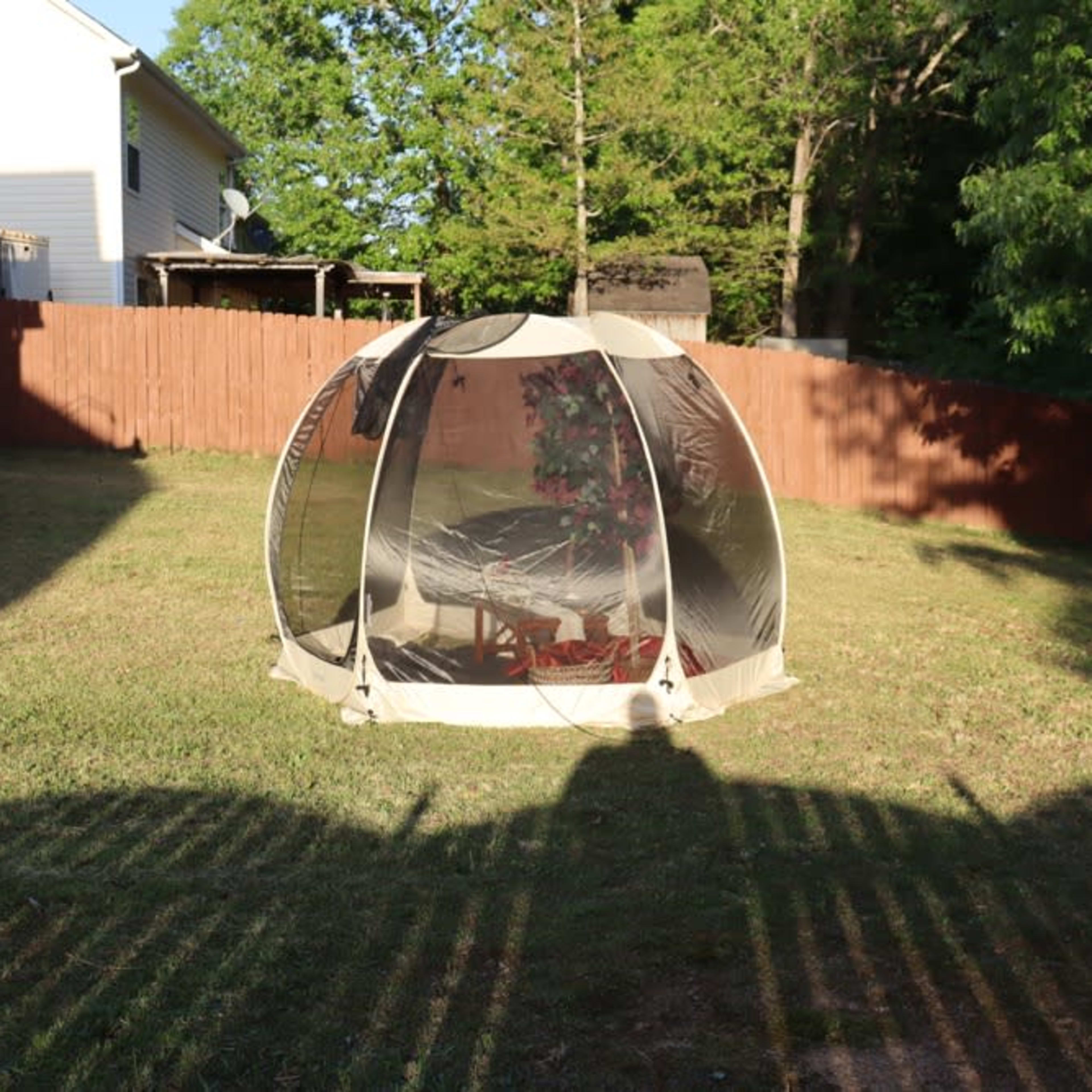 A transparent tent is set up in a grassy backyard surrounded by a wooden fence and trees.