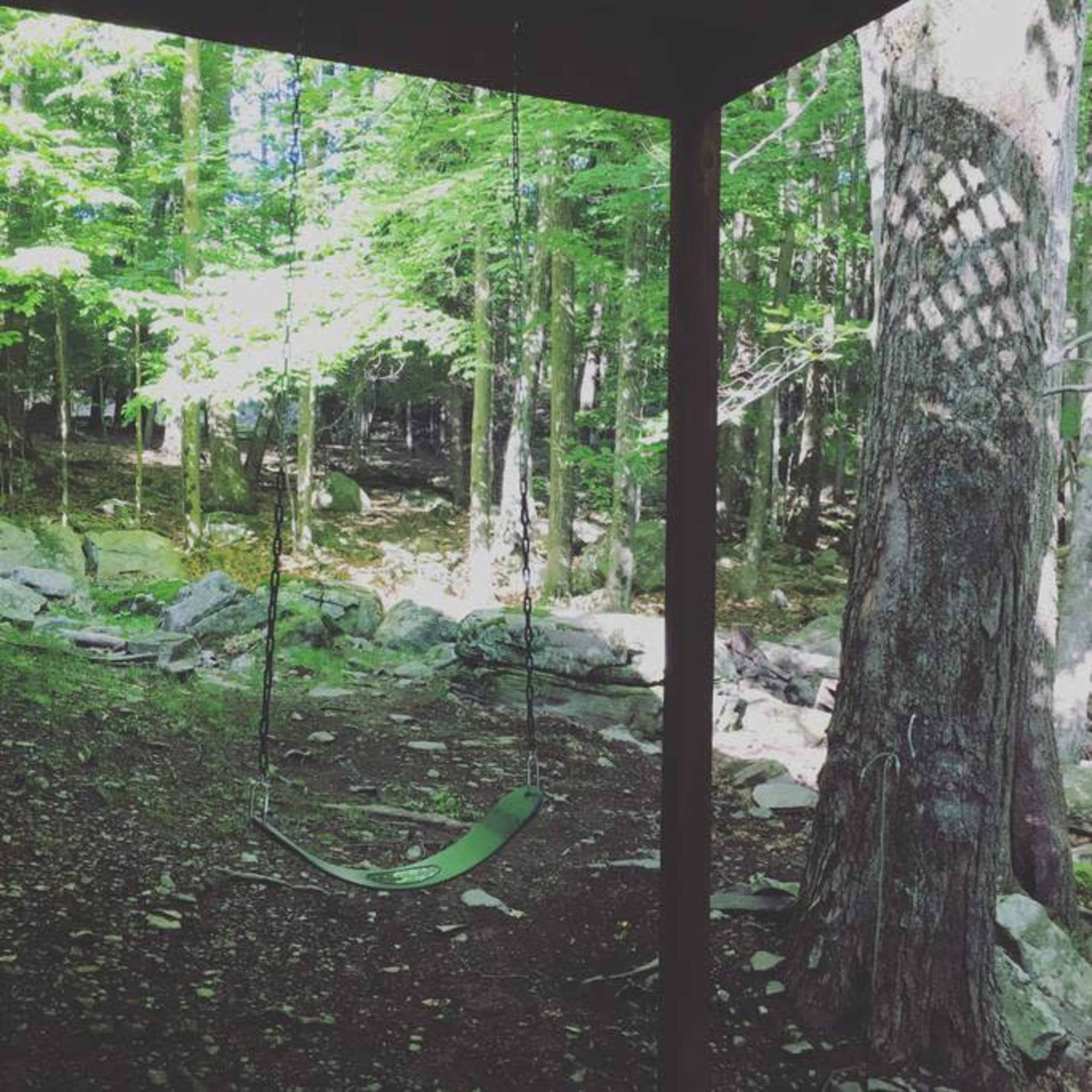 A swing hangs from a structure beside a rocky, wooded area illuminated by sunlight filtering through the trees.