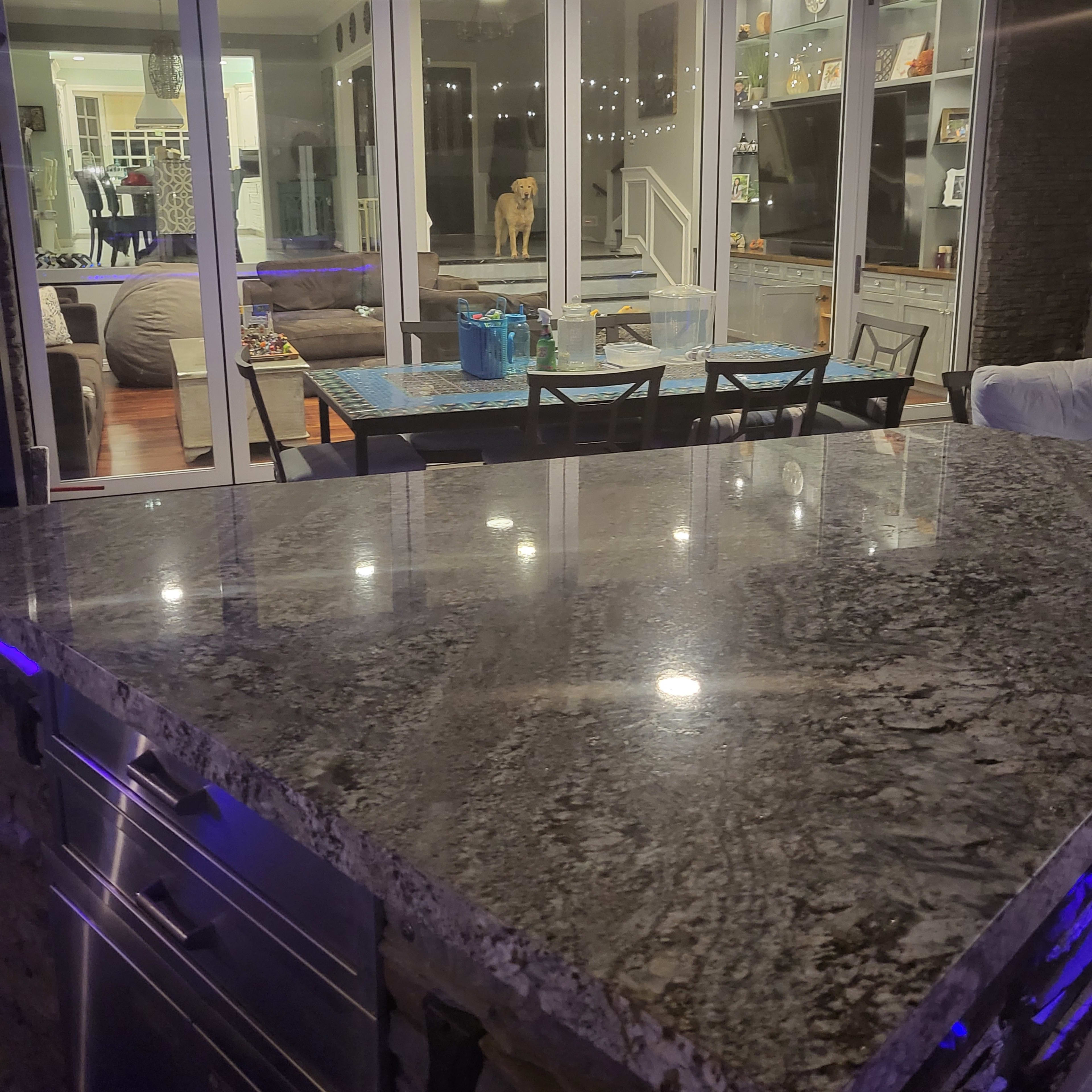 A kitchen countertop with a granite surface overlooking a spacious room with large glass doors, where a dog stands near a table.