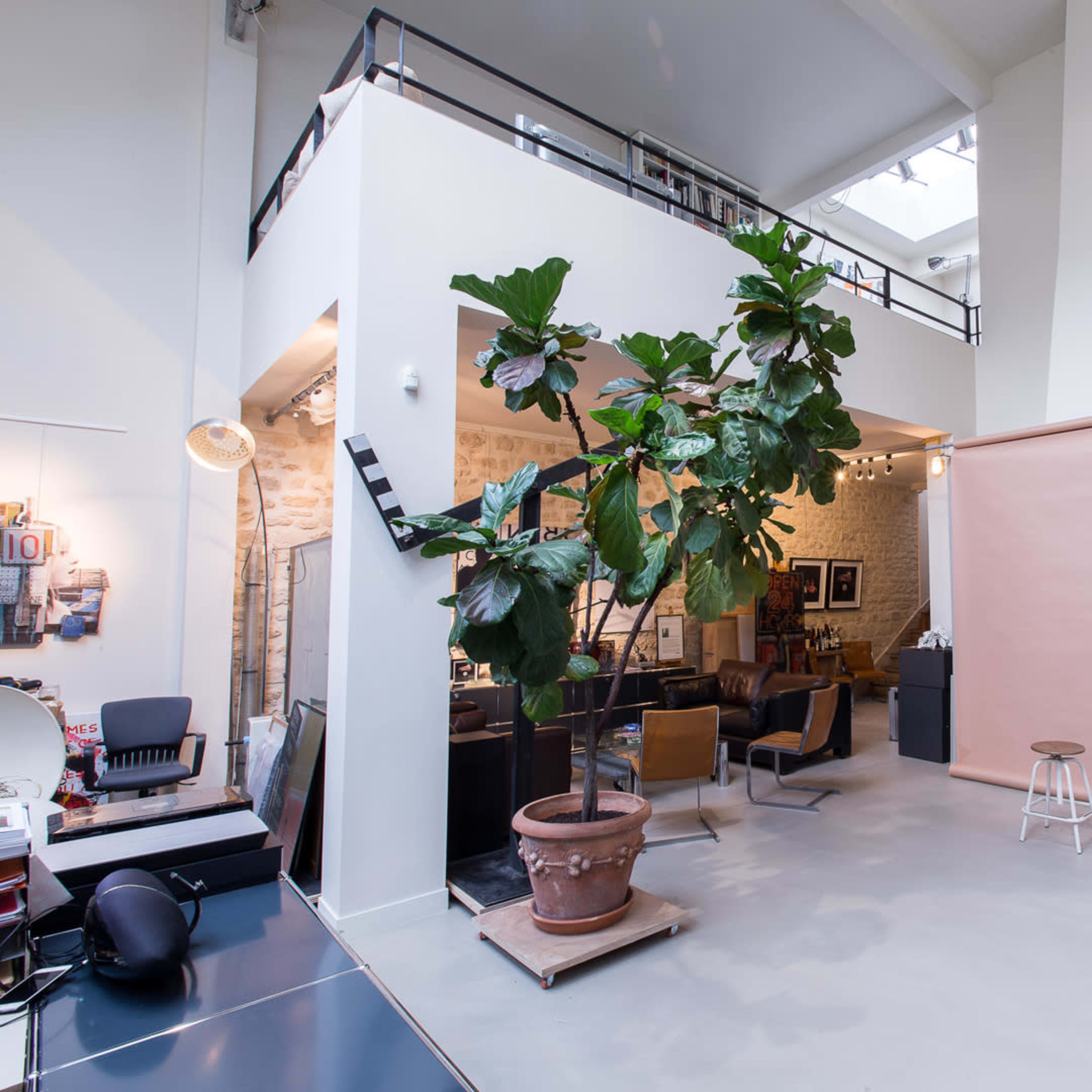 A spacious, modern interior with a potted plant, a seating area, and a backdrop for photography.