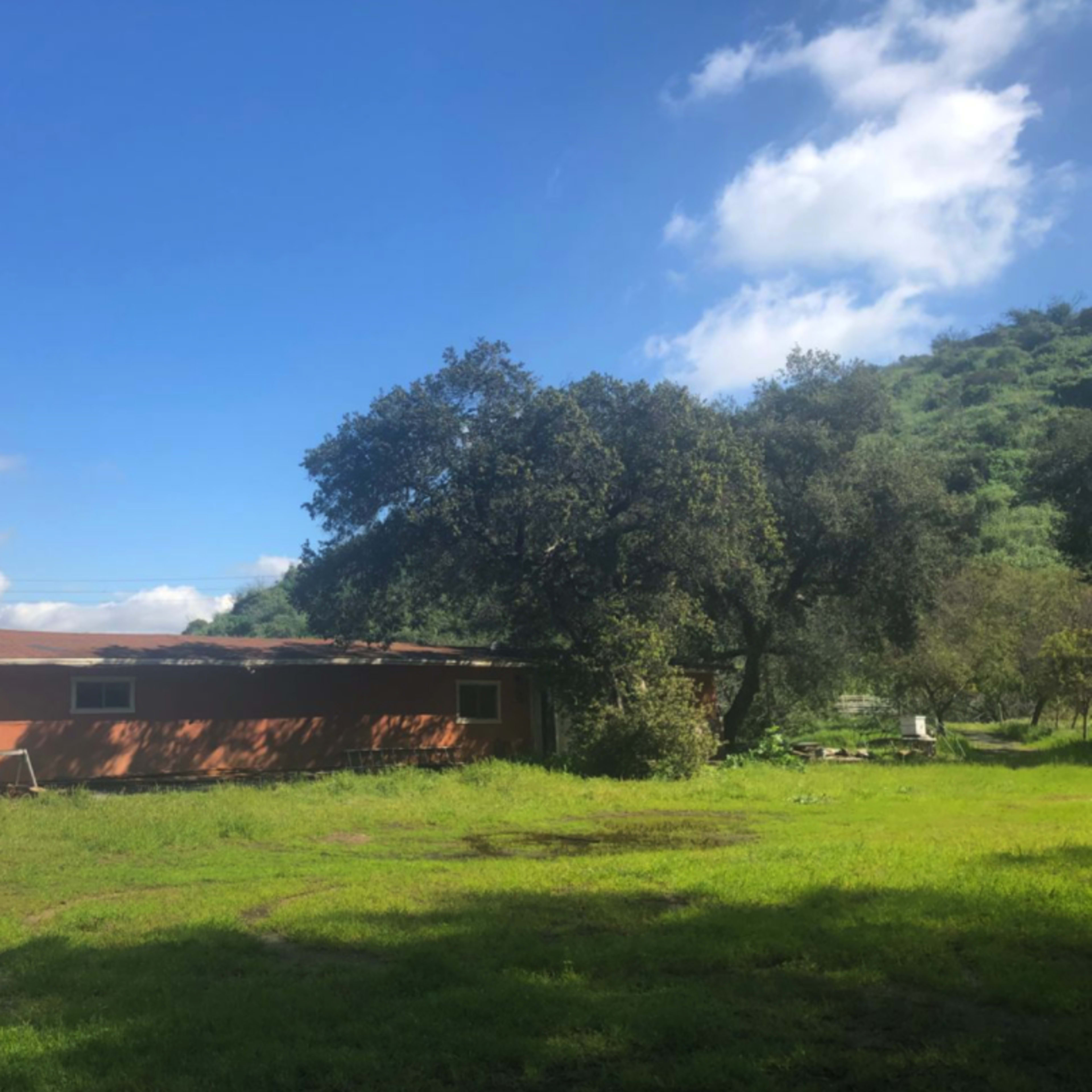 A red brick building is situated next to a large tree in a grassy field under a blue sky with scattered clouds.