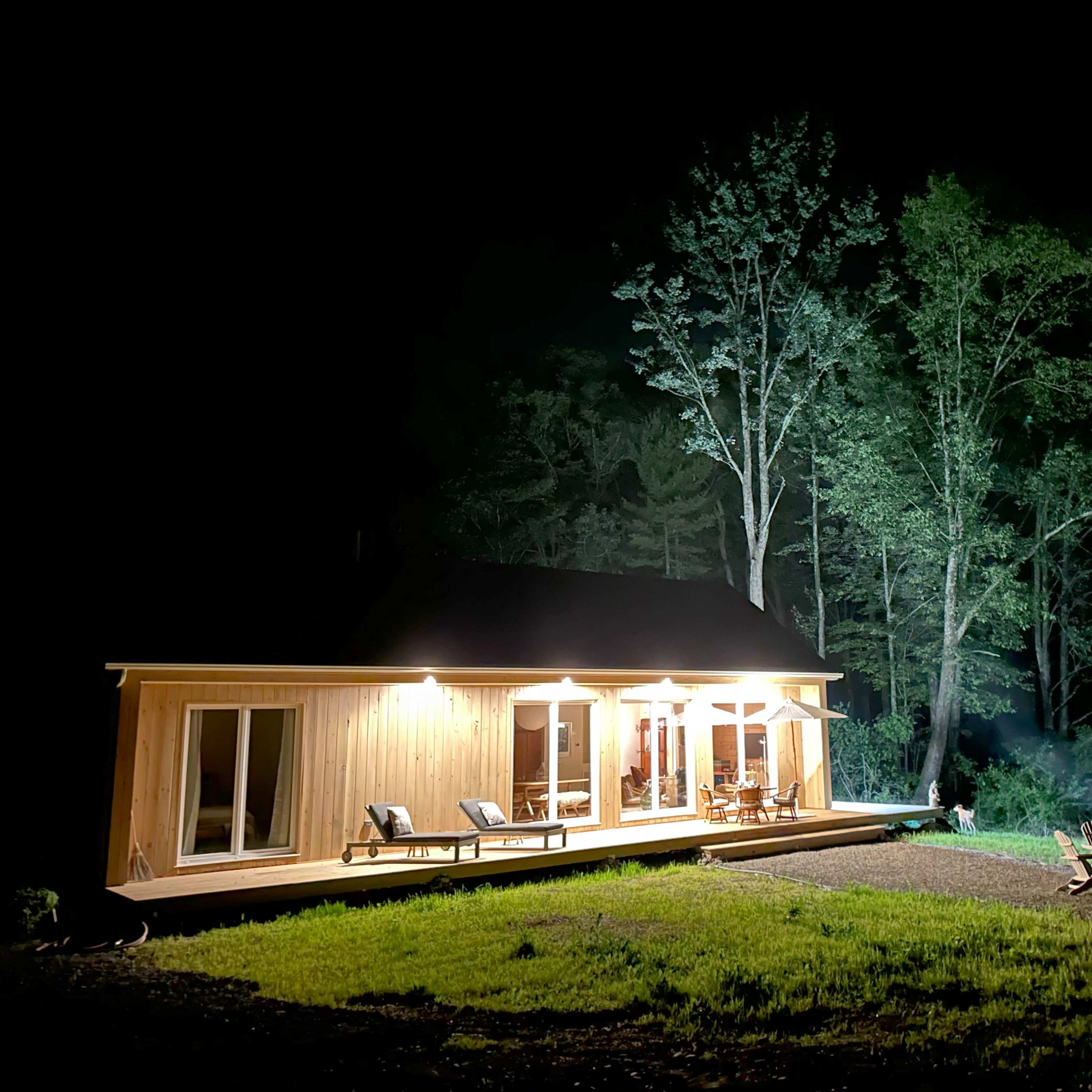 A wooden cabin is illuminated at night, surrounded by tall trees and a clear, dark sky.