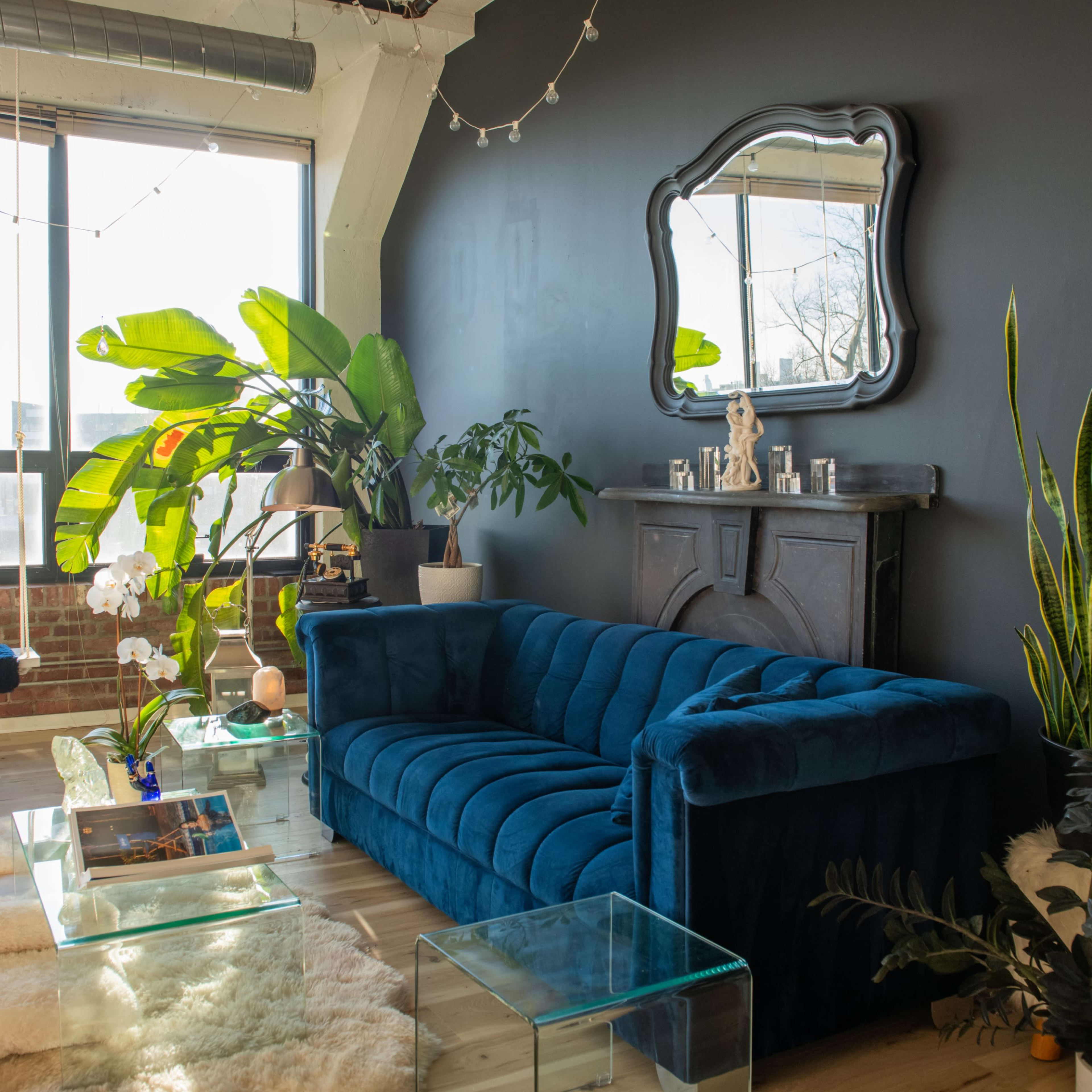 A modern living room with a blue velvet sofa, large plants, a wooden cabinet, and a decorative mirror against a dark wall, illuminated by natural light from large windows.