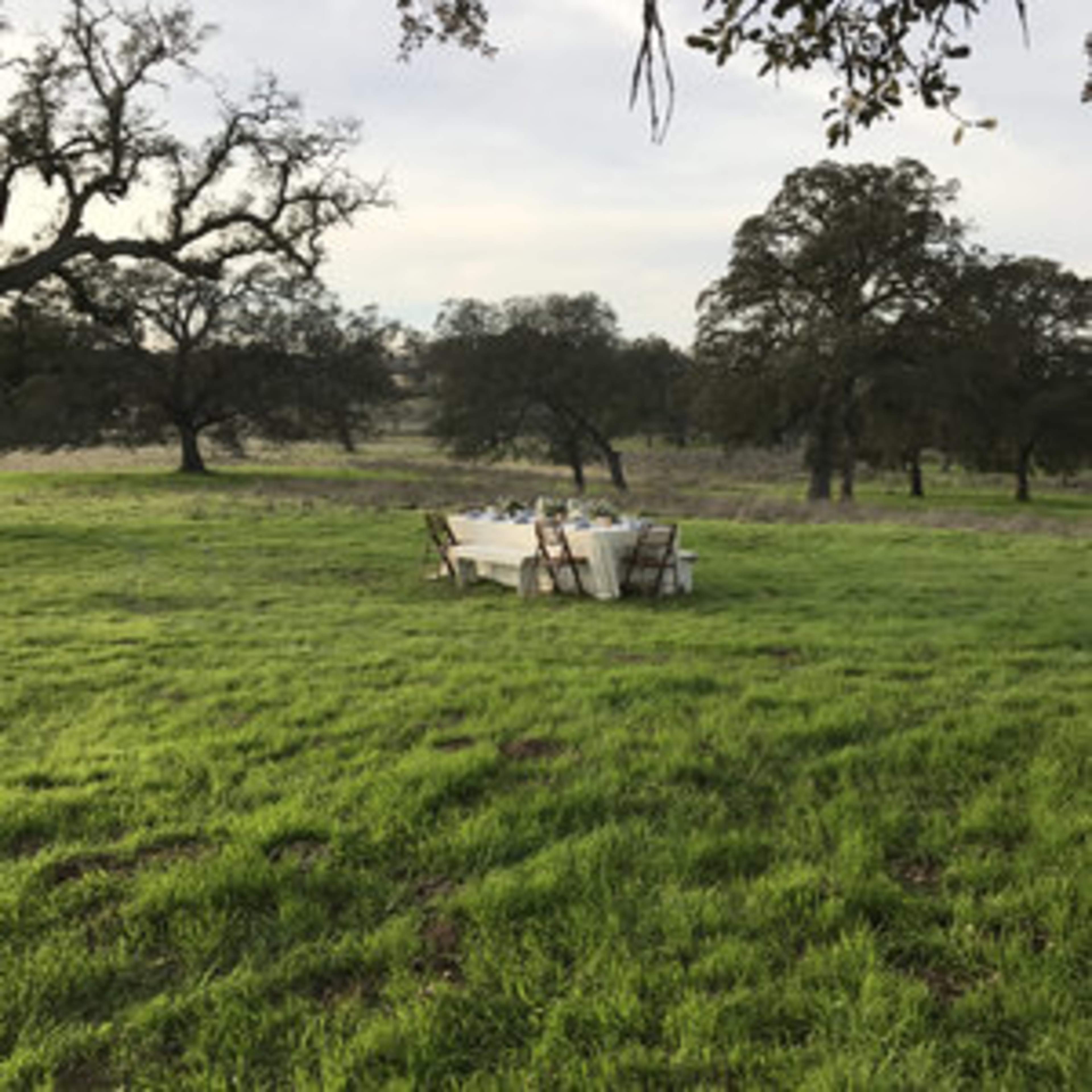 A long dining table set with chairs is positioned in a grassy field surrounded by trees.