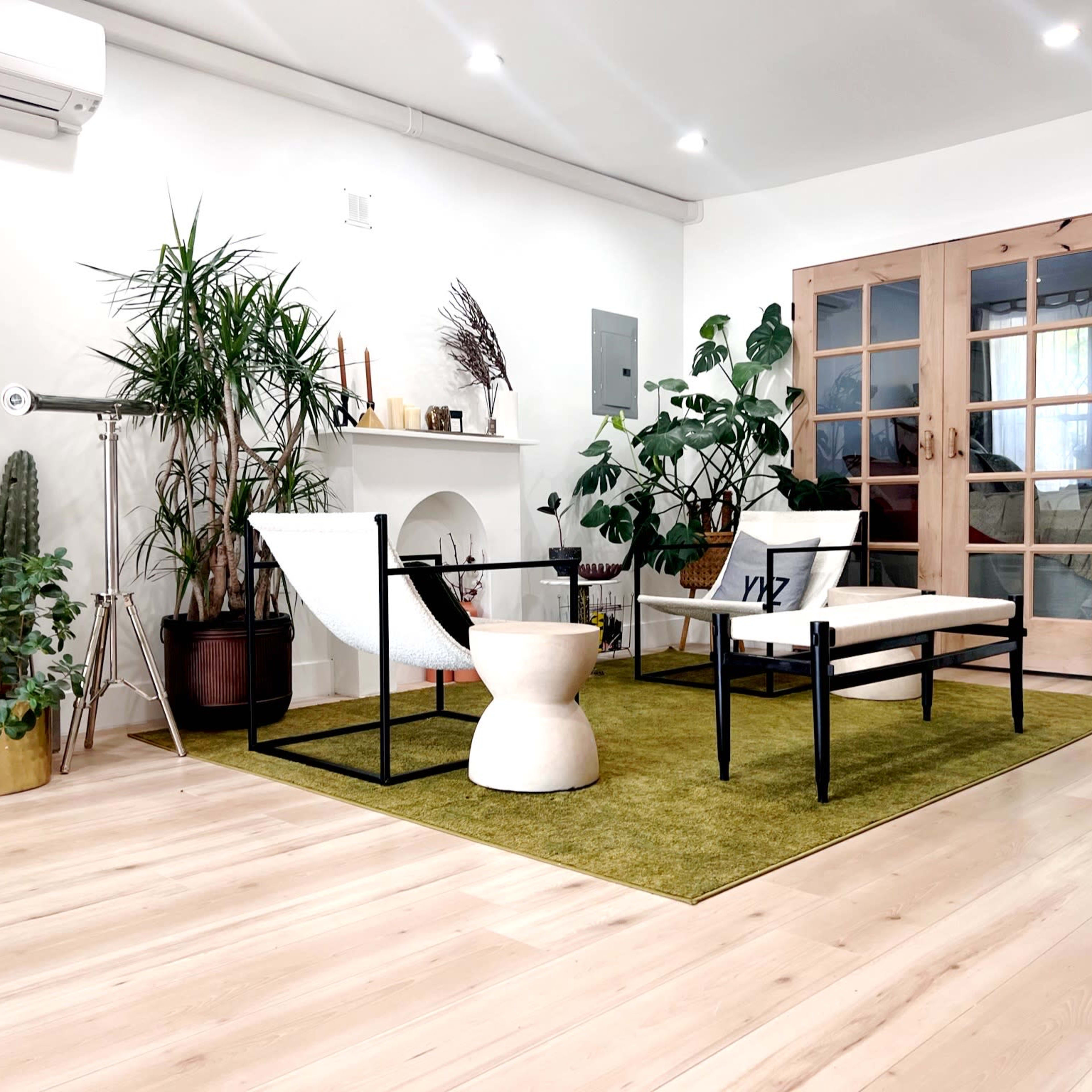 A modern living room with a green area rug, two chairs, a small table, and various indoor plants against a backdrop of large glass doors and white walls.