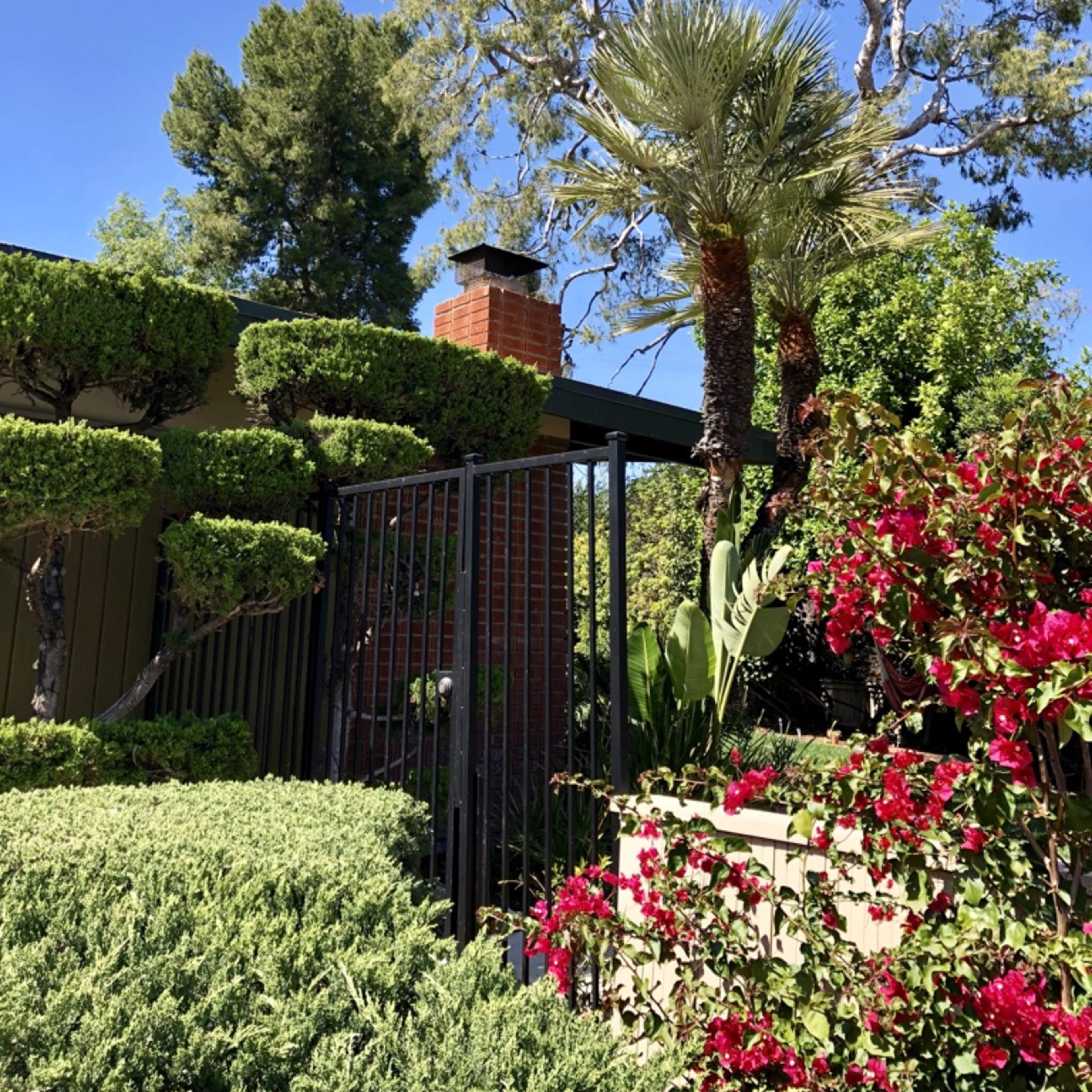 A green garden with neatly trimmed bushes, vibrant flowers, and a tall tree in the background, next to a house with a chimney.