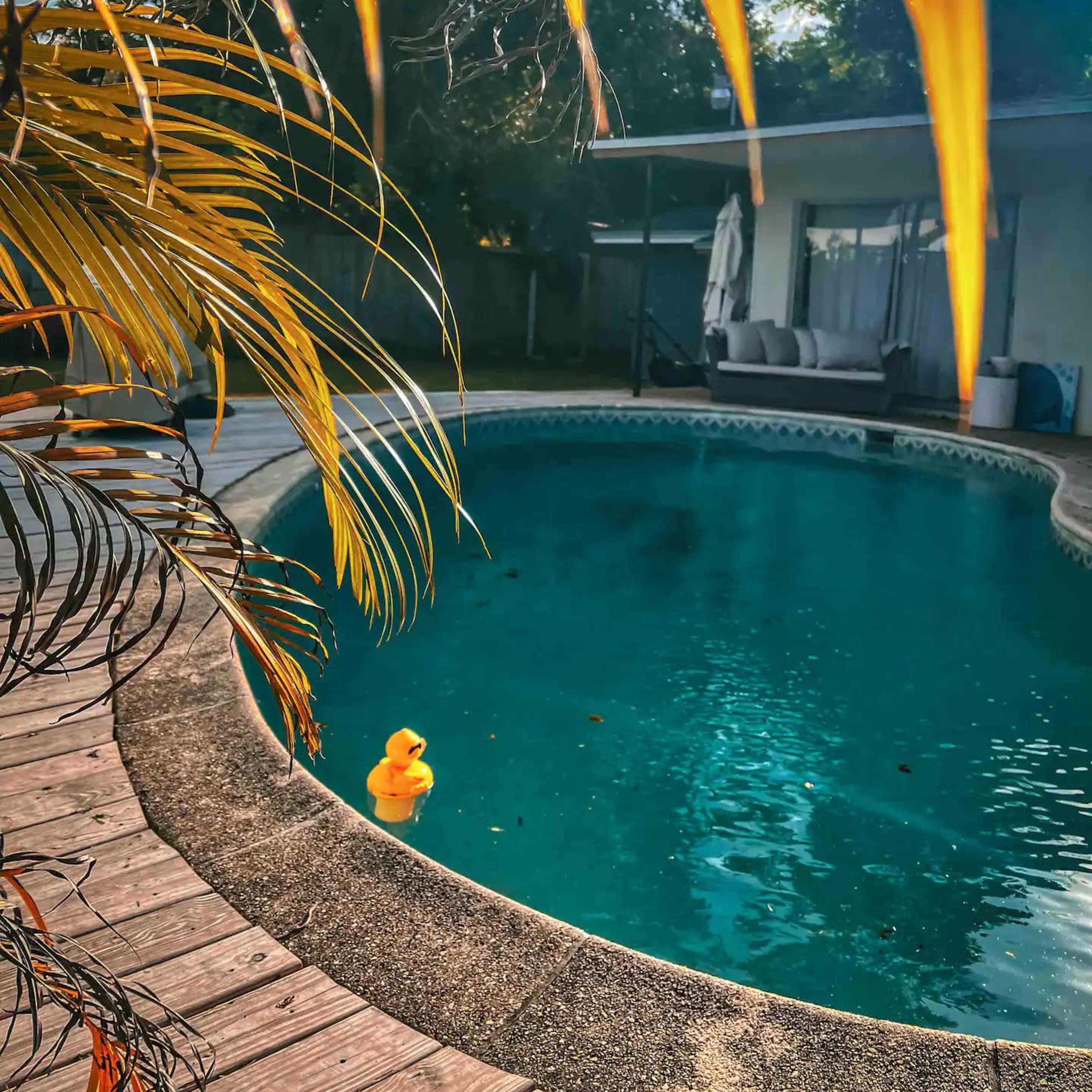 A rubber duck floats in a green-tinted swimming pool surrounded by palm leaves and a wooden deck.