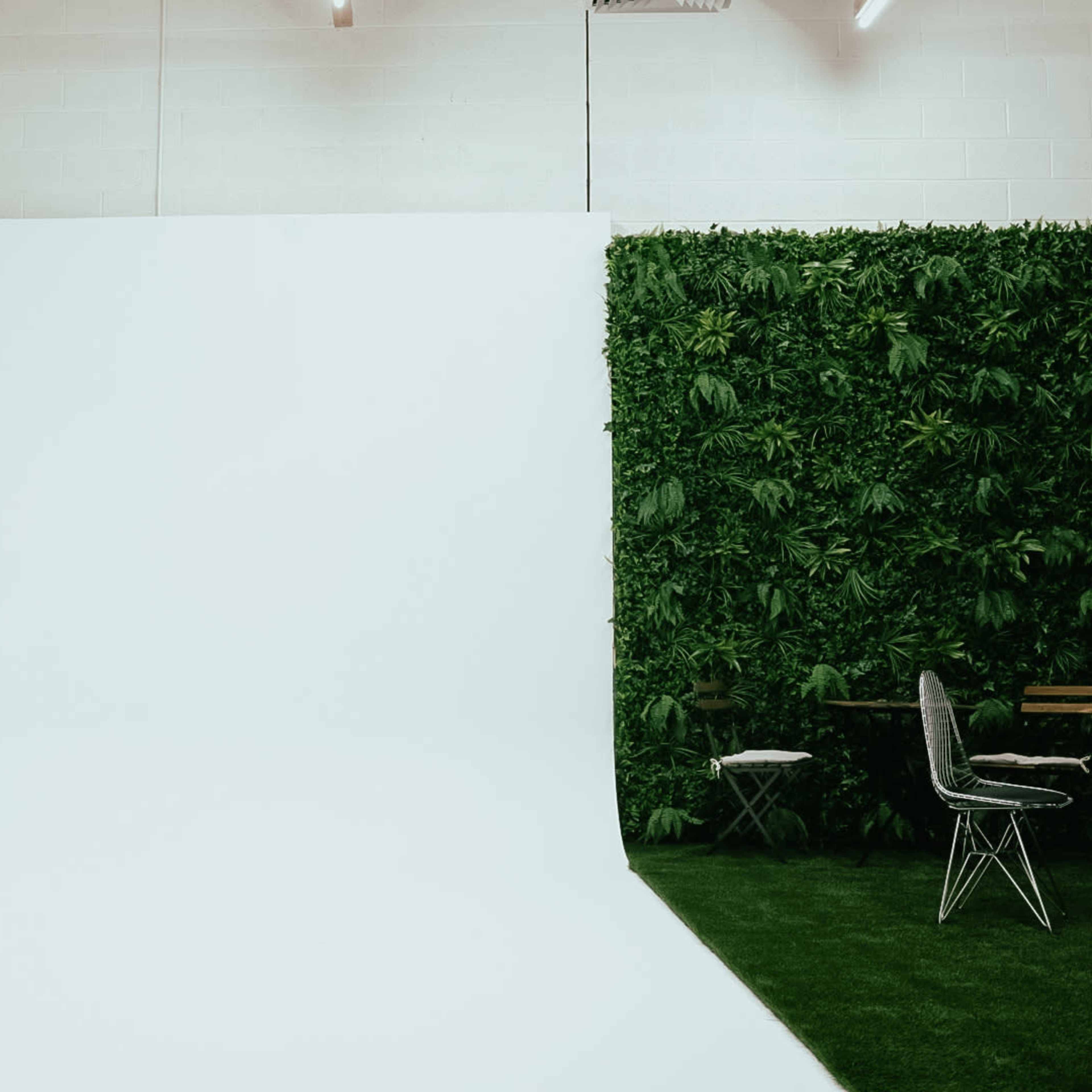 A spacious studio with a large white backdrop on one side and a vertical garden with greenery on the other, accompanied by a simple chair and small table.