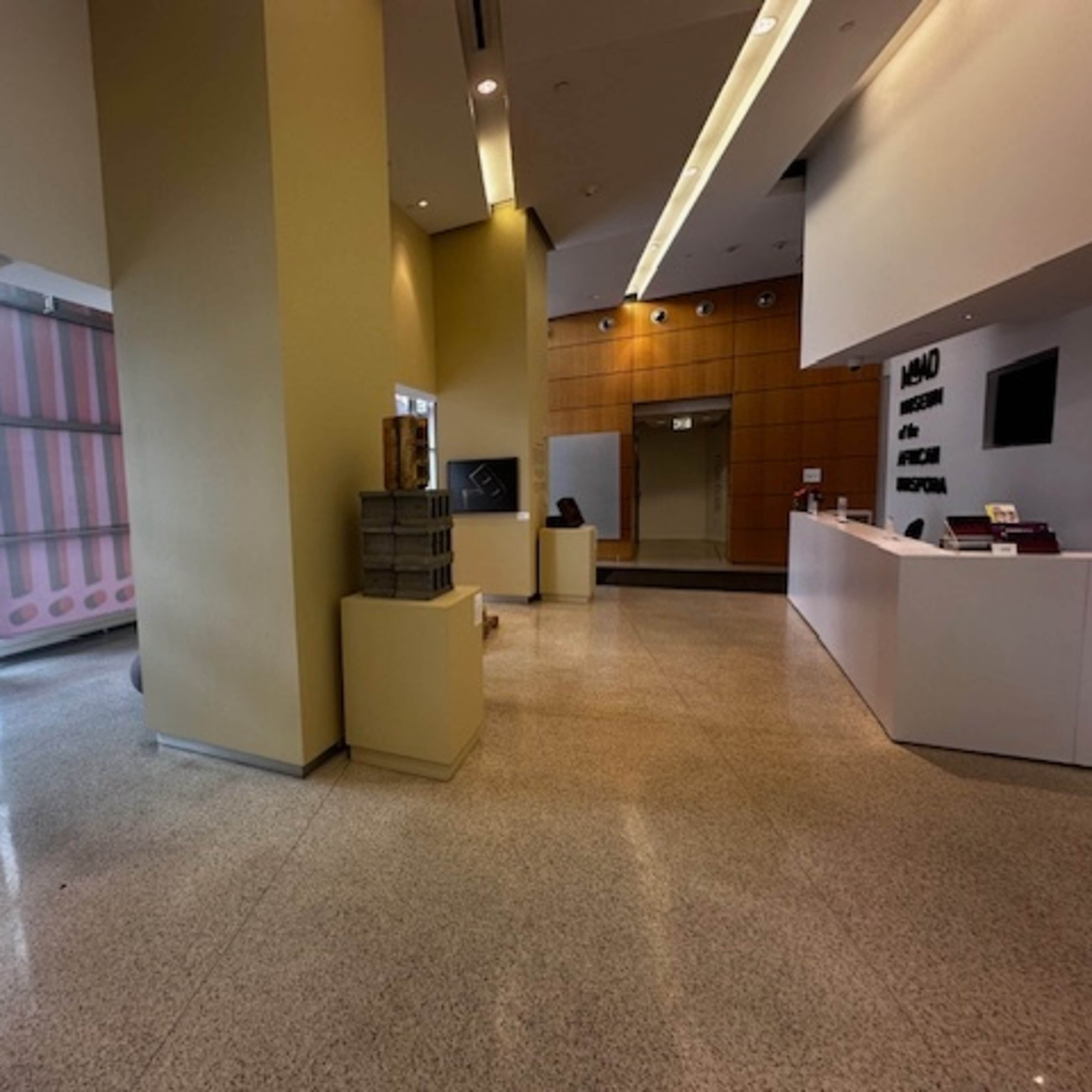 A spacious reception area with a front desk, display stands, and large windows allowing natural light.
