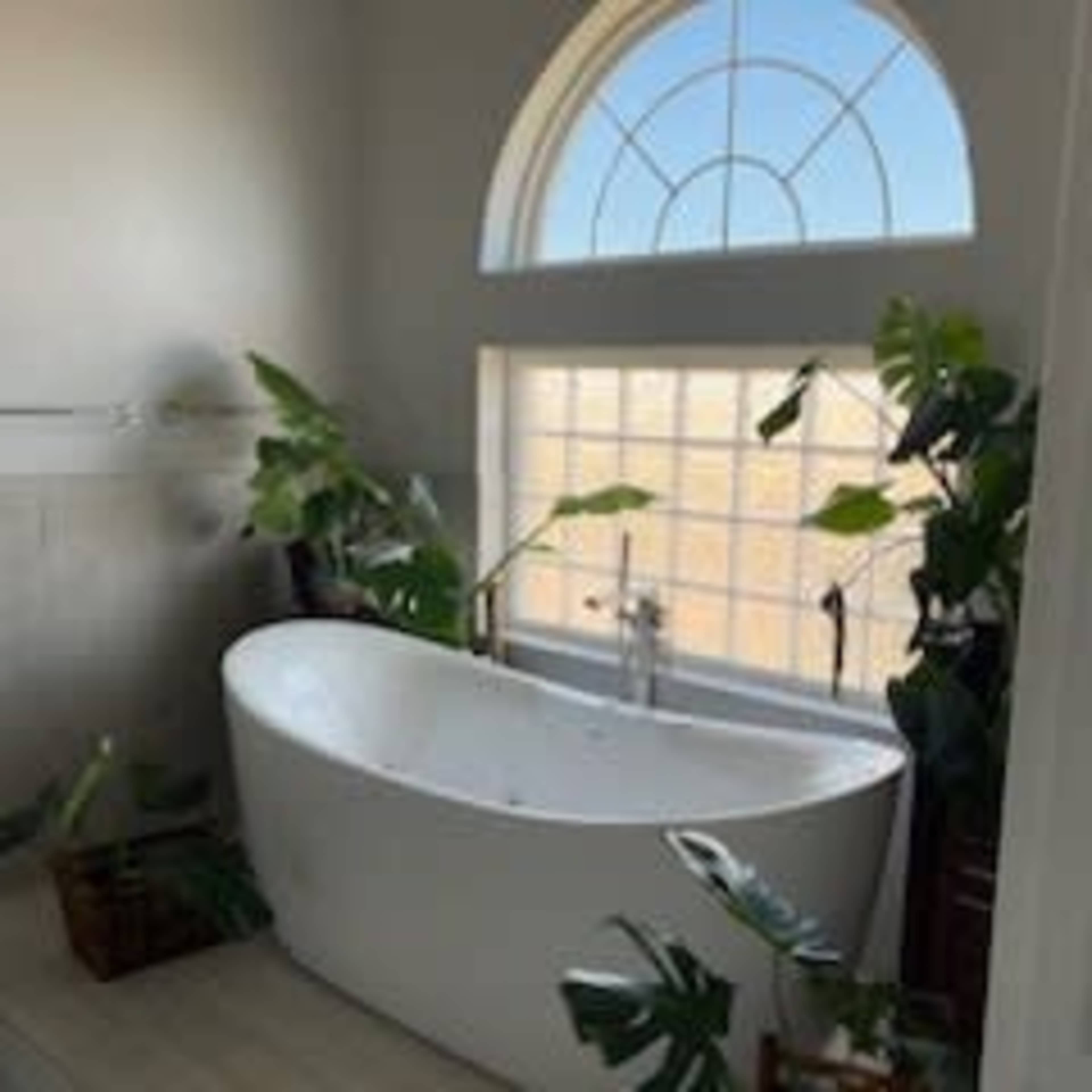 A modern bathroom featuring a freestanding bathtub and several potted plants near a large arched window.