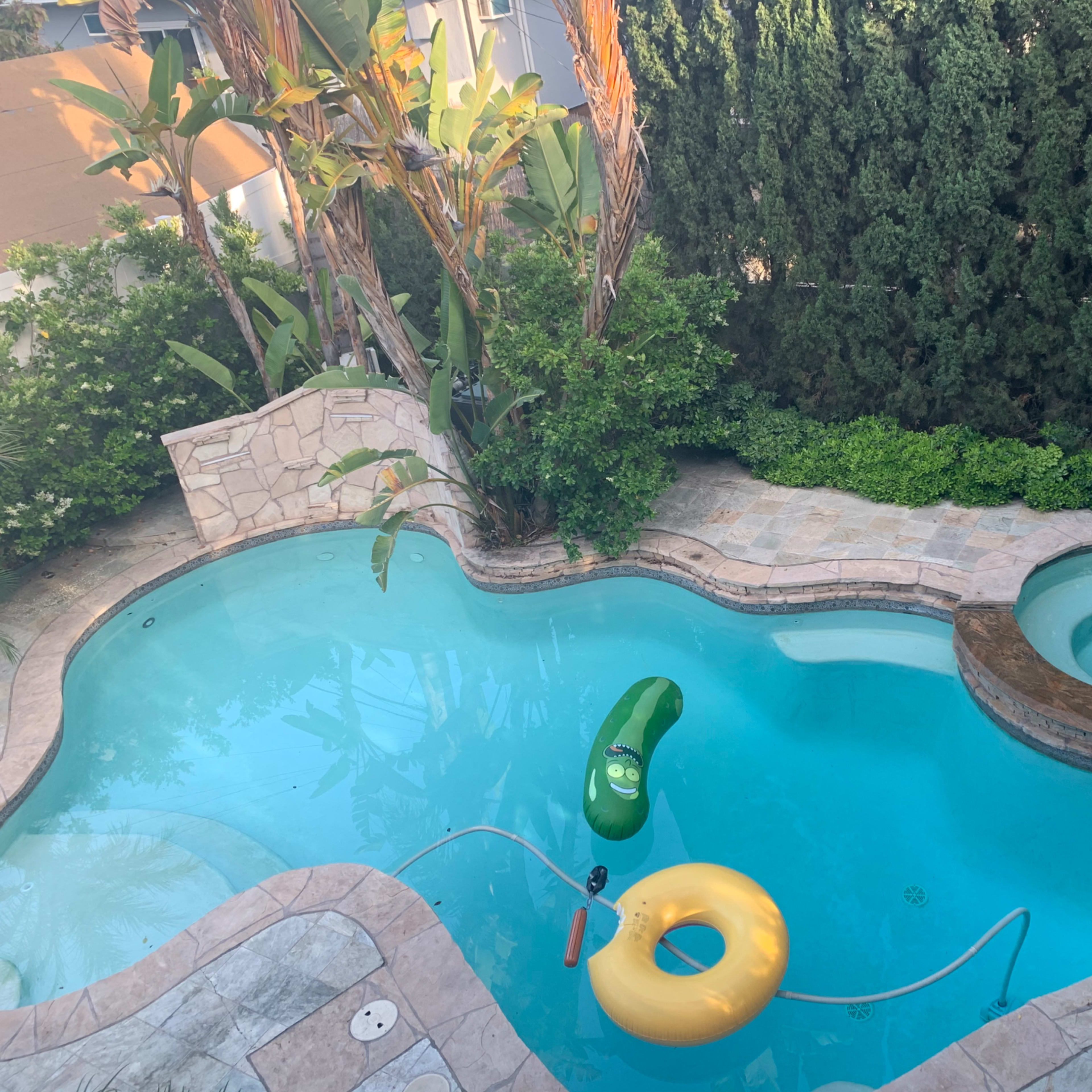 A swimming pool with a green inflatable pickle and a yellow inflatable ring floating in it, surrounded by lush greenery and stone paving.