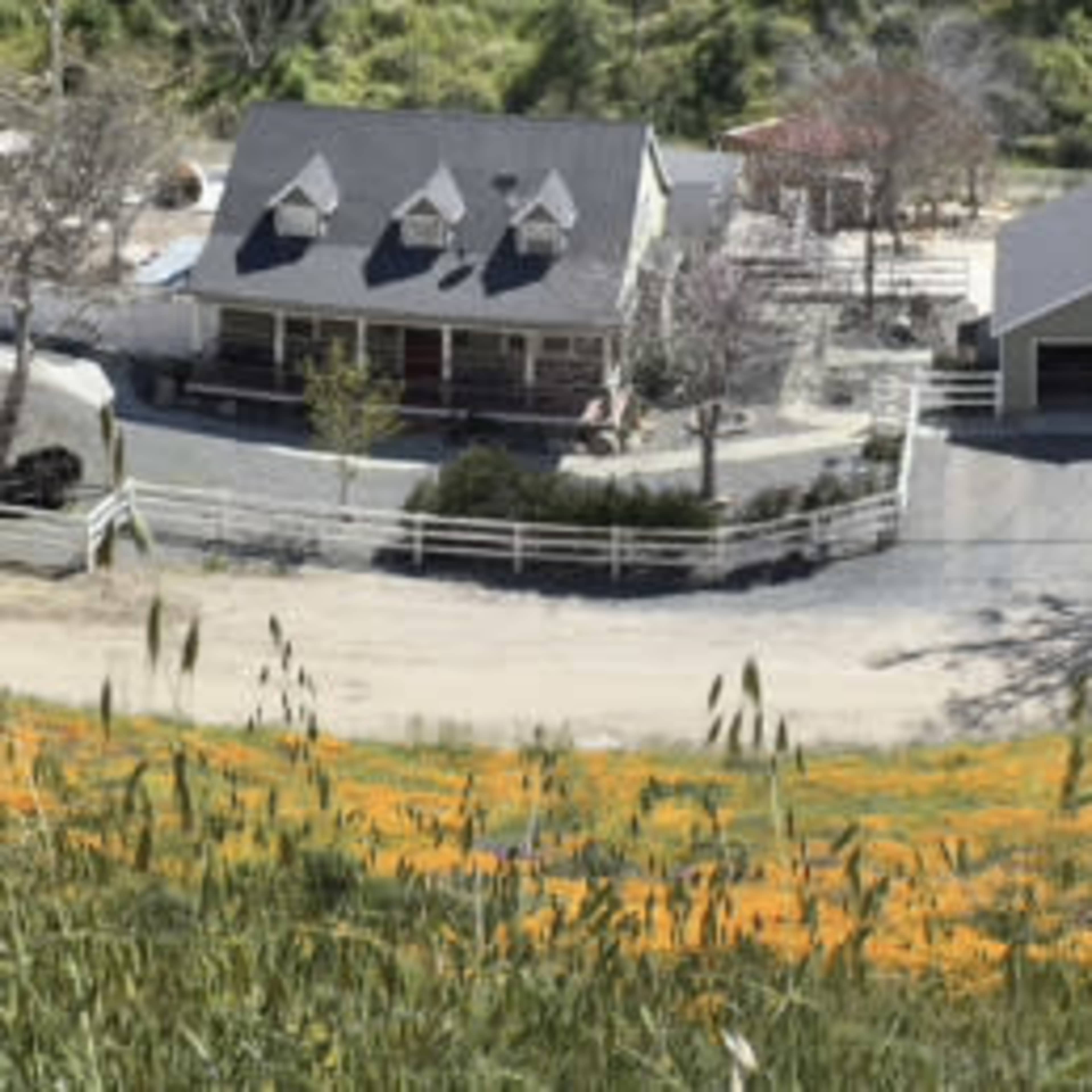 A panoramic view shows a house and nearby structures surrounded by a hillside covered in orange wildflowers.