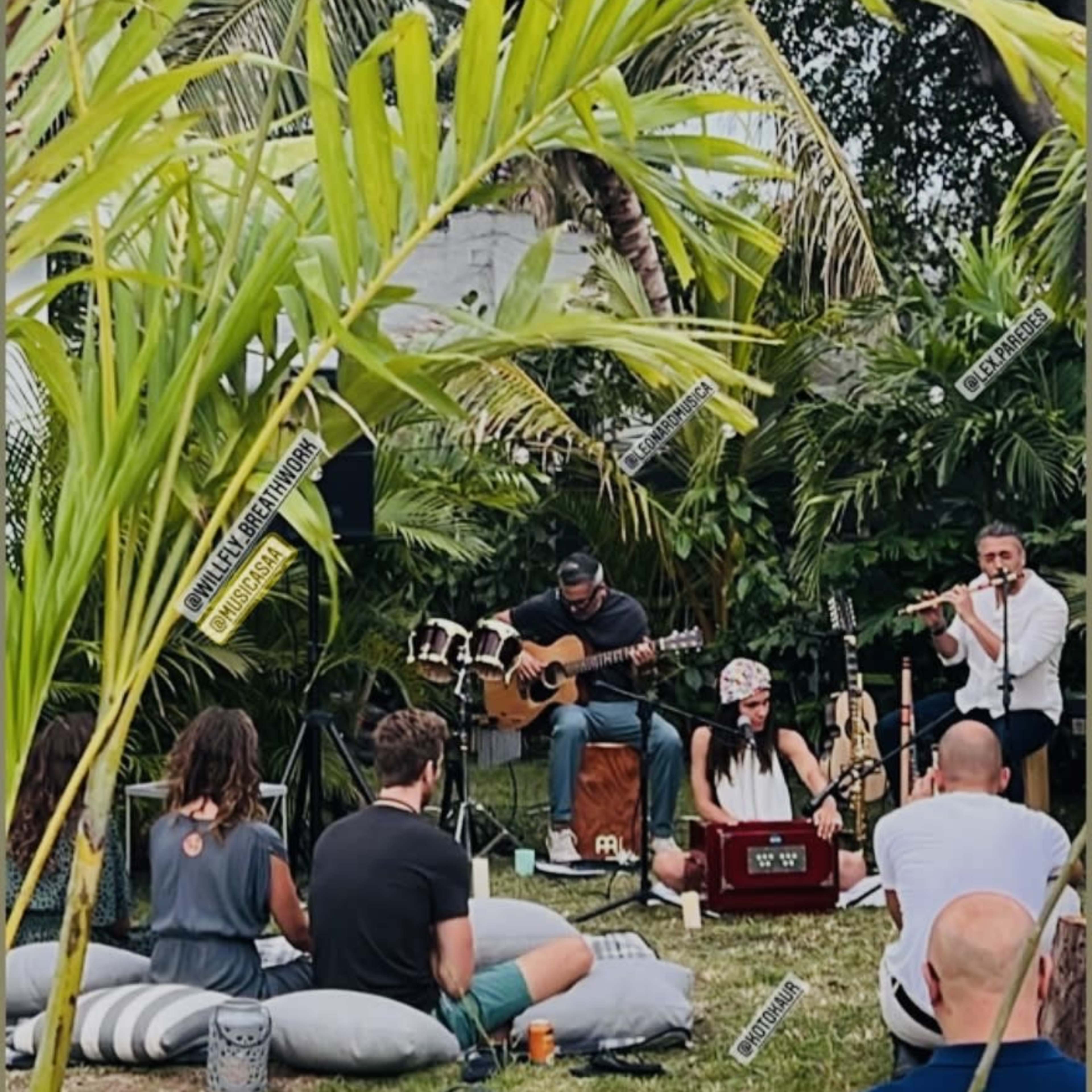 A small crowd sits on cushions in a garden while musicians perform with various instruments under palm trees.