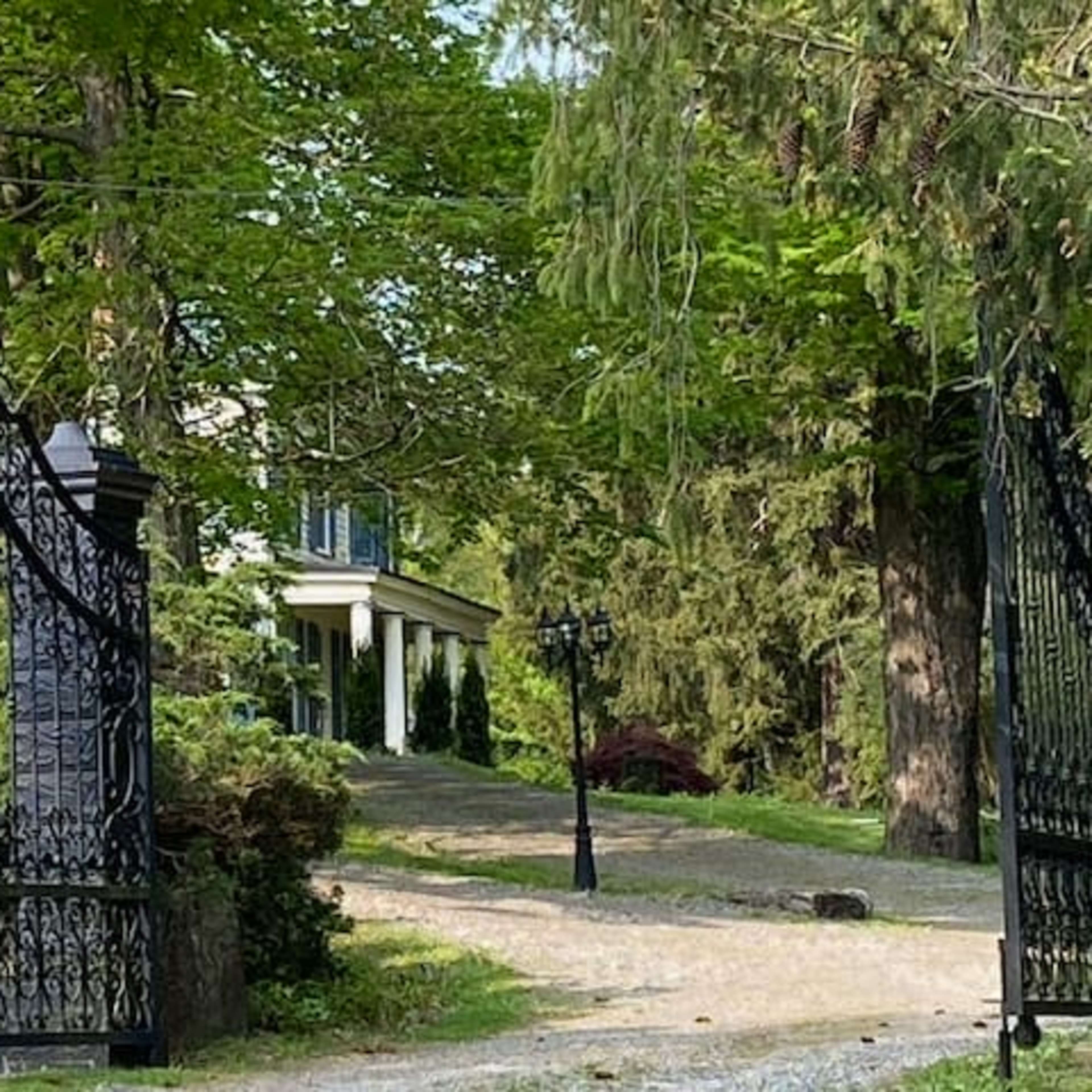 An ornate black iron gate opens onto a gravel path leading to a house surrounded by lush greenery.
