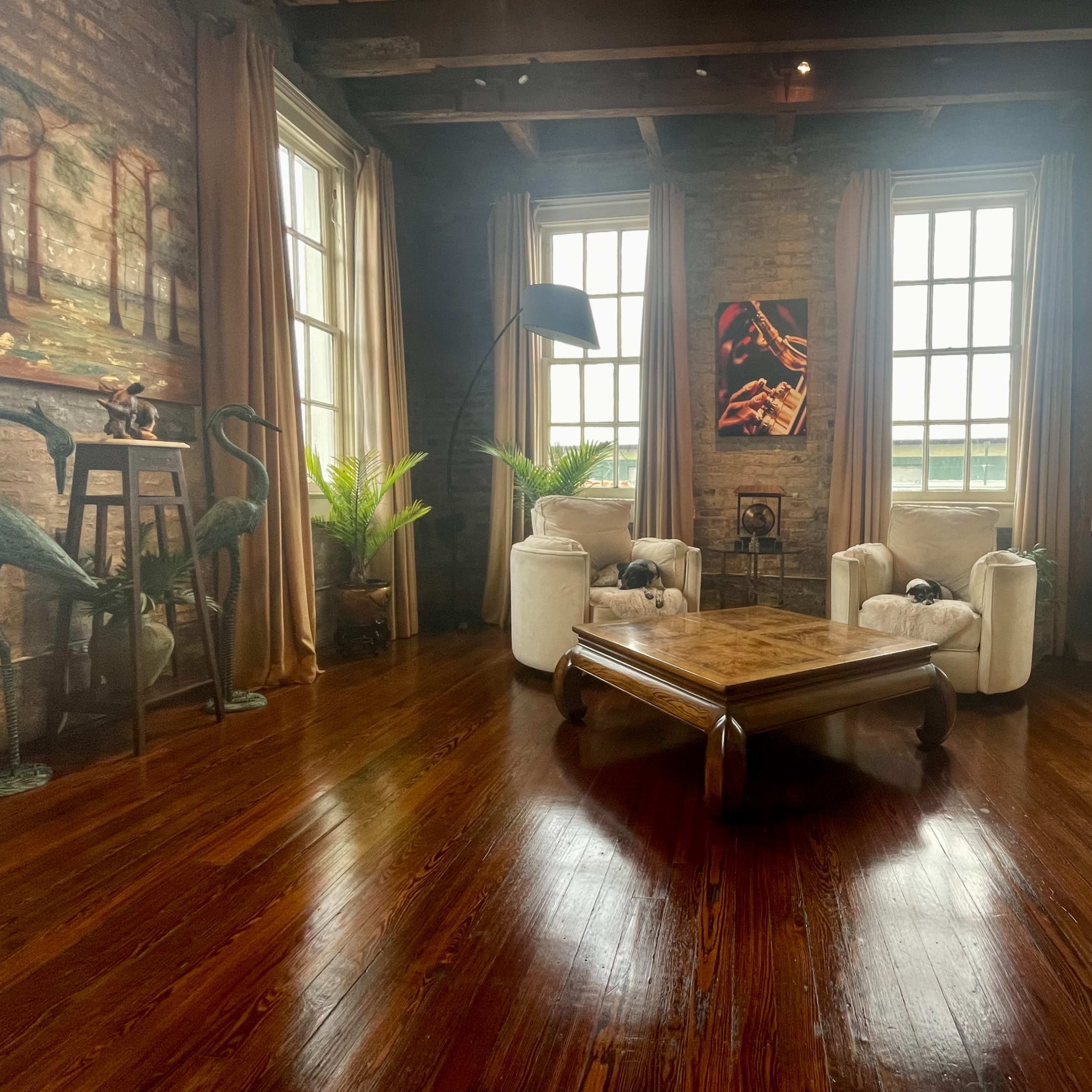 The room features hardwood floors, large windows allowing natural light, a wooden coffee table, and modern furnishings with decorative plants.