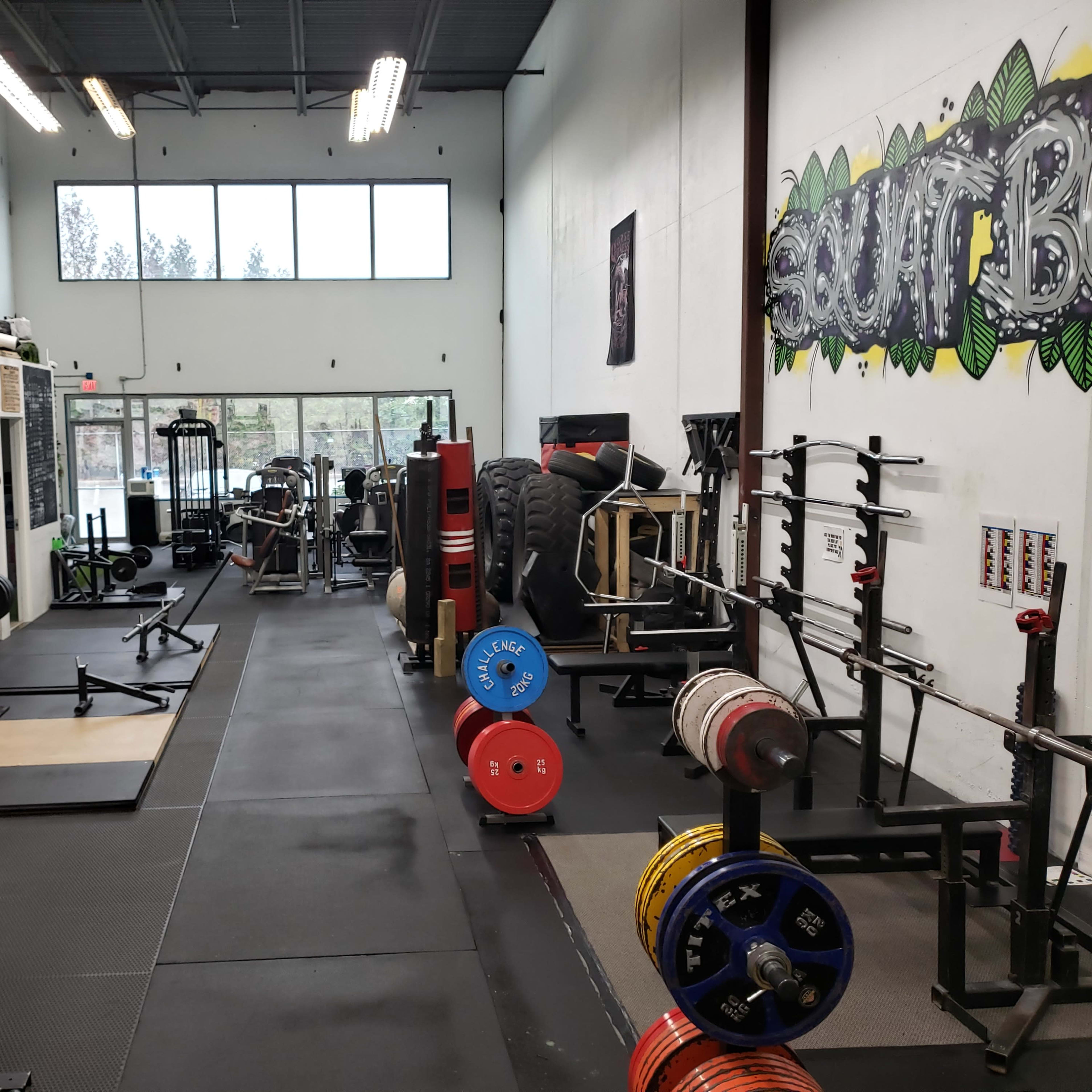 A spacious gym filled with various weightlifting equipment, including barbells, benches, and tire stacks, along with large windows letting in natural light.